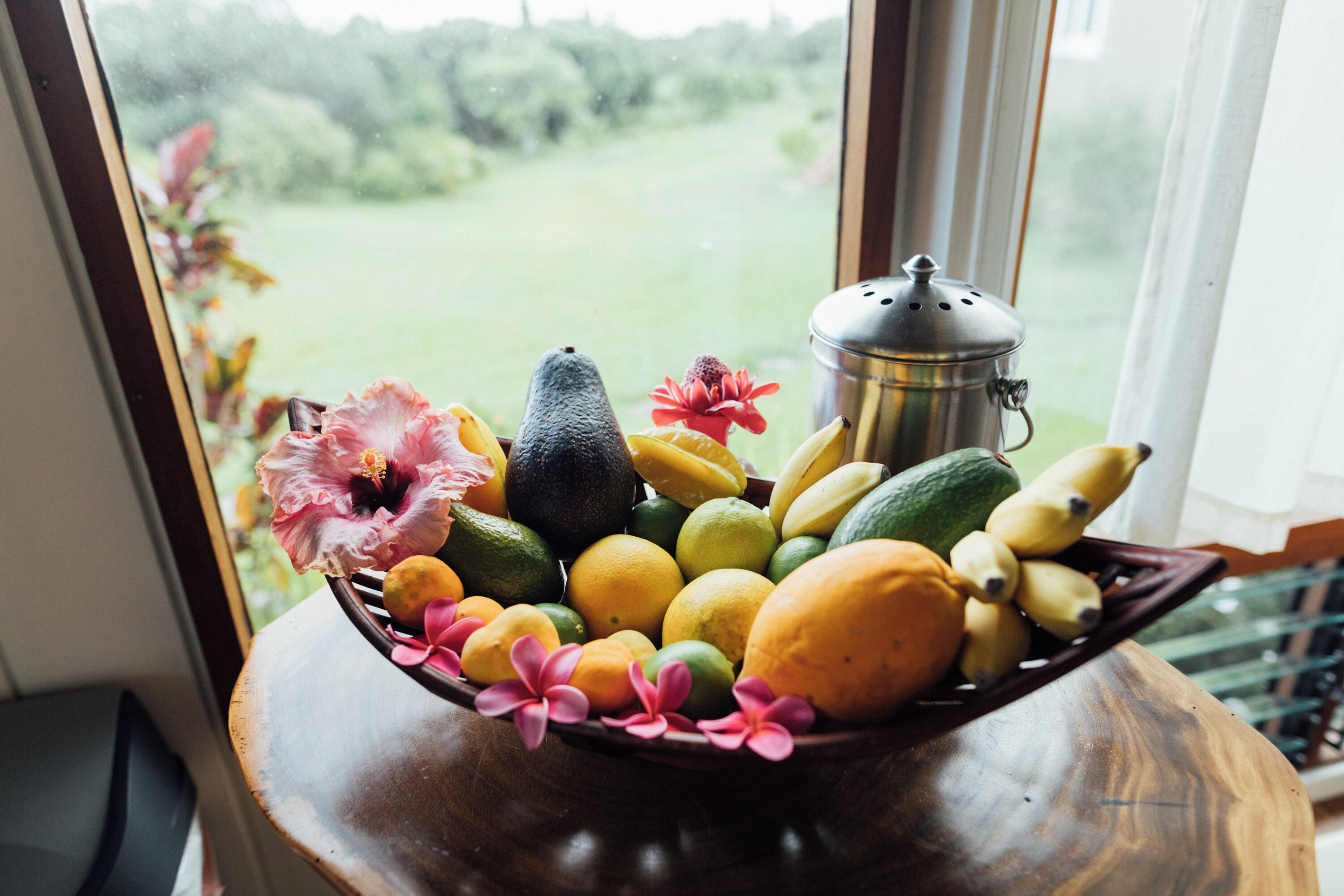 Cozy cottage nestled on our 5 acre Organic fruit farm