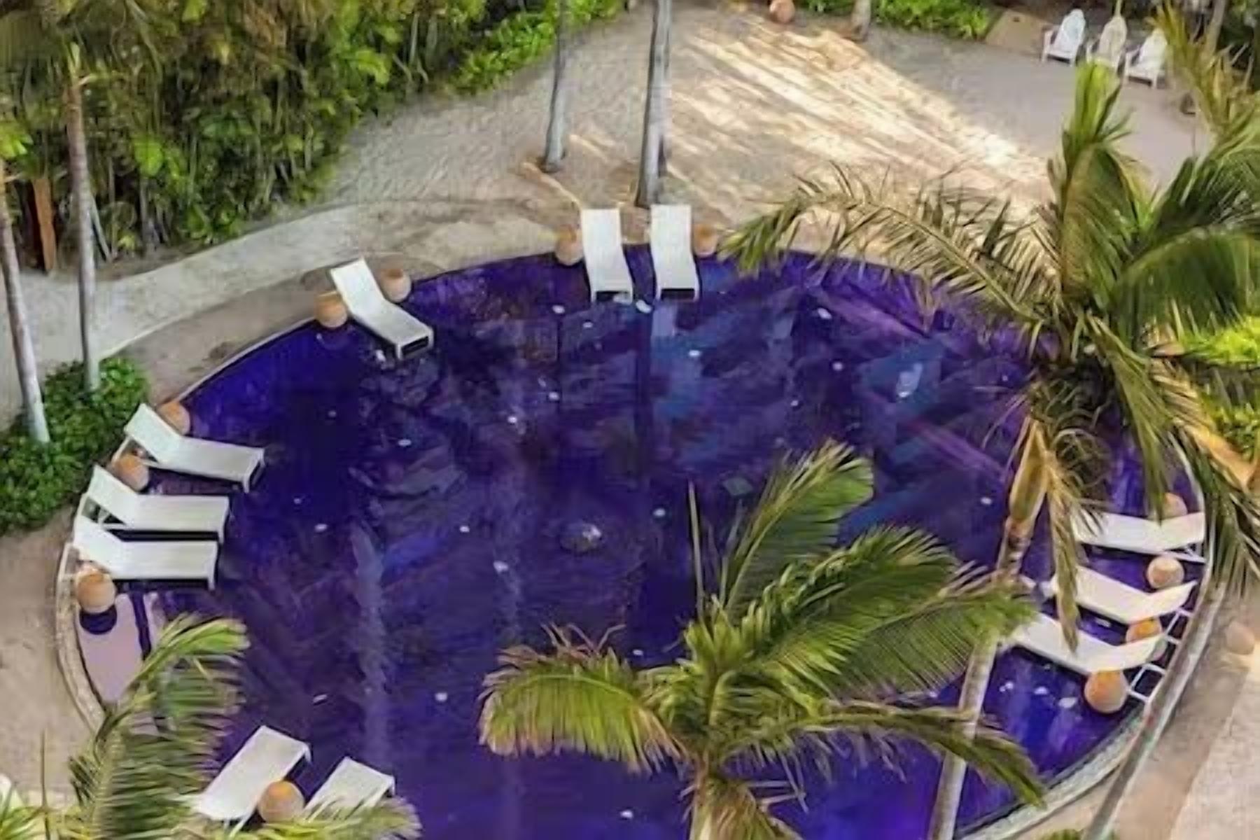 1 Bedroom Suite, The Modern Resort & Spa, Honolulu