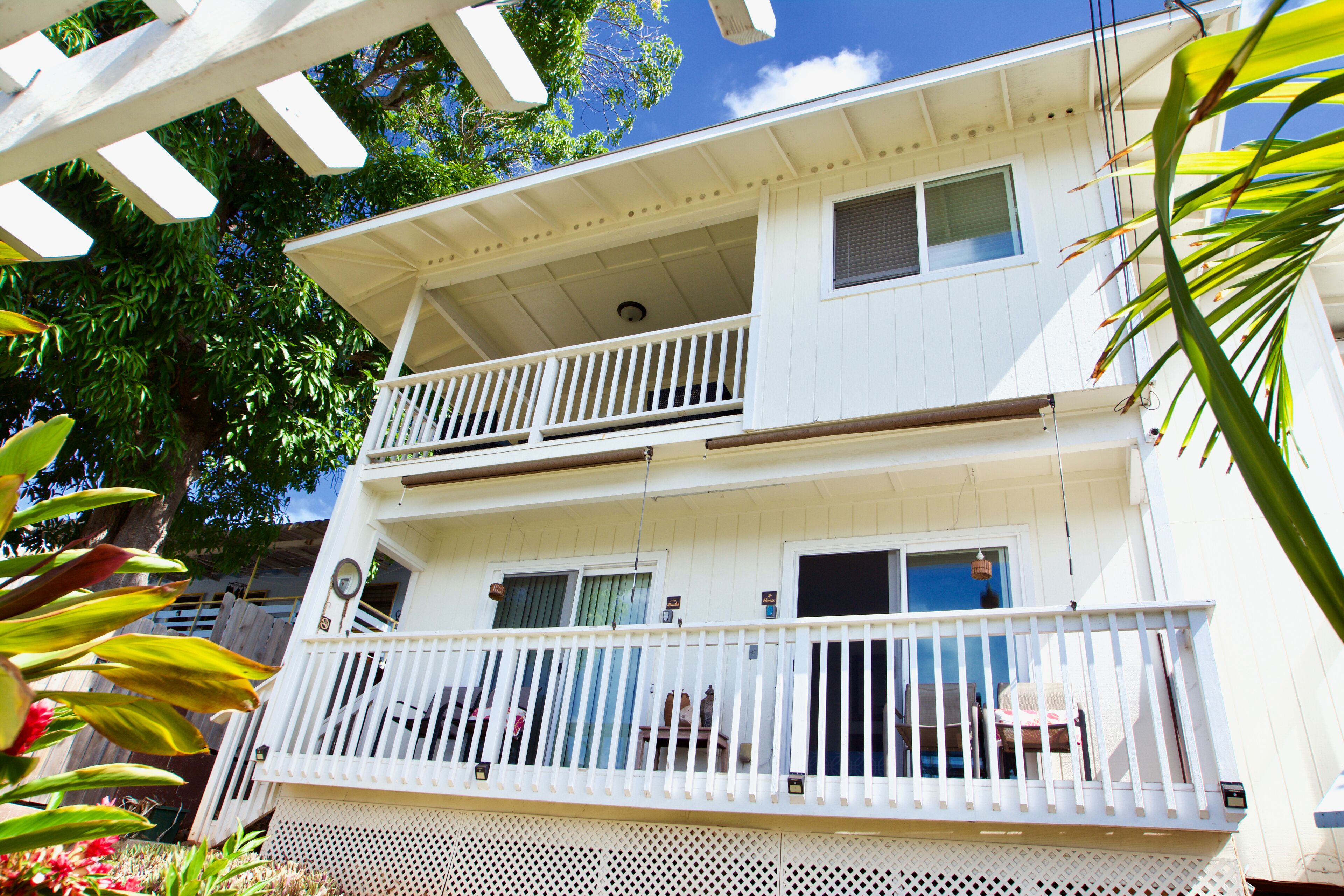 Perched at Pearl Harbor