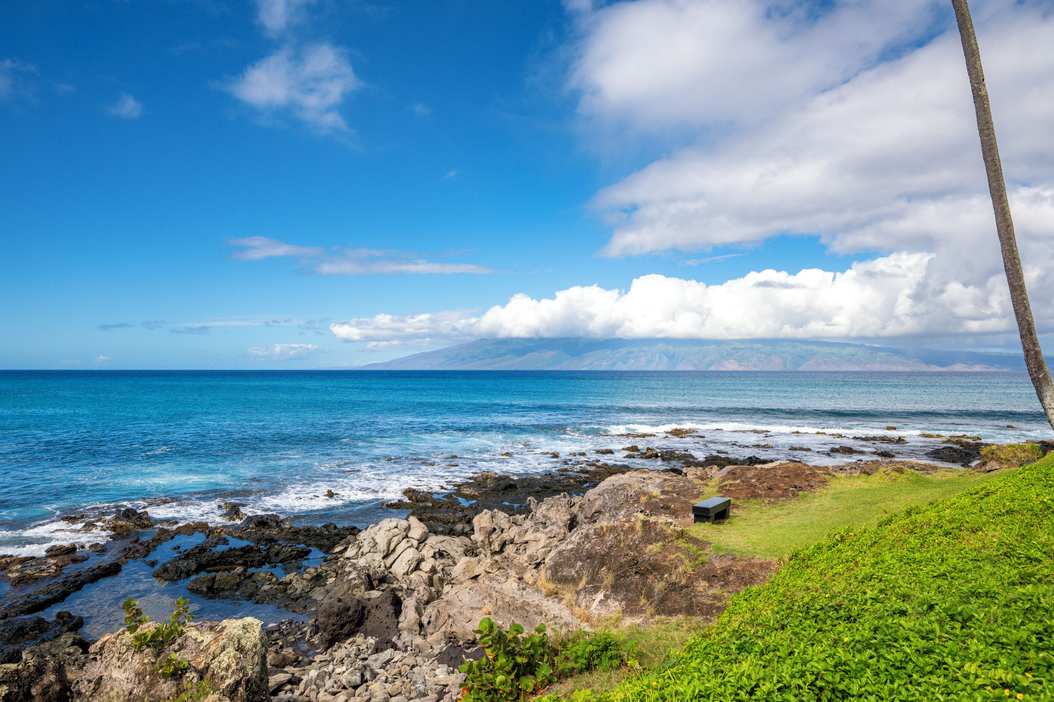 NEW! Serene Napili Point, 1 bedroom condo, just steps from the ocean.