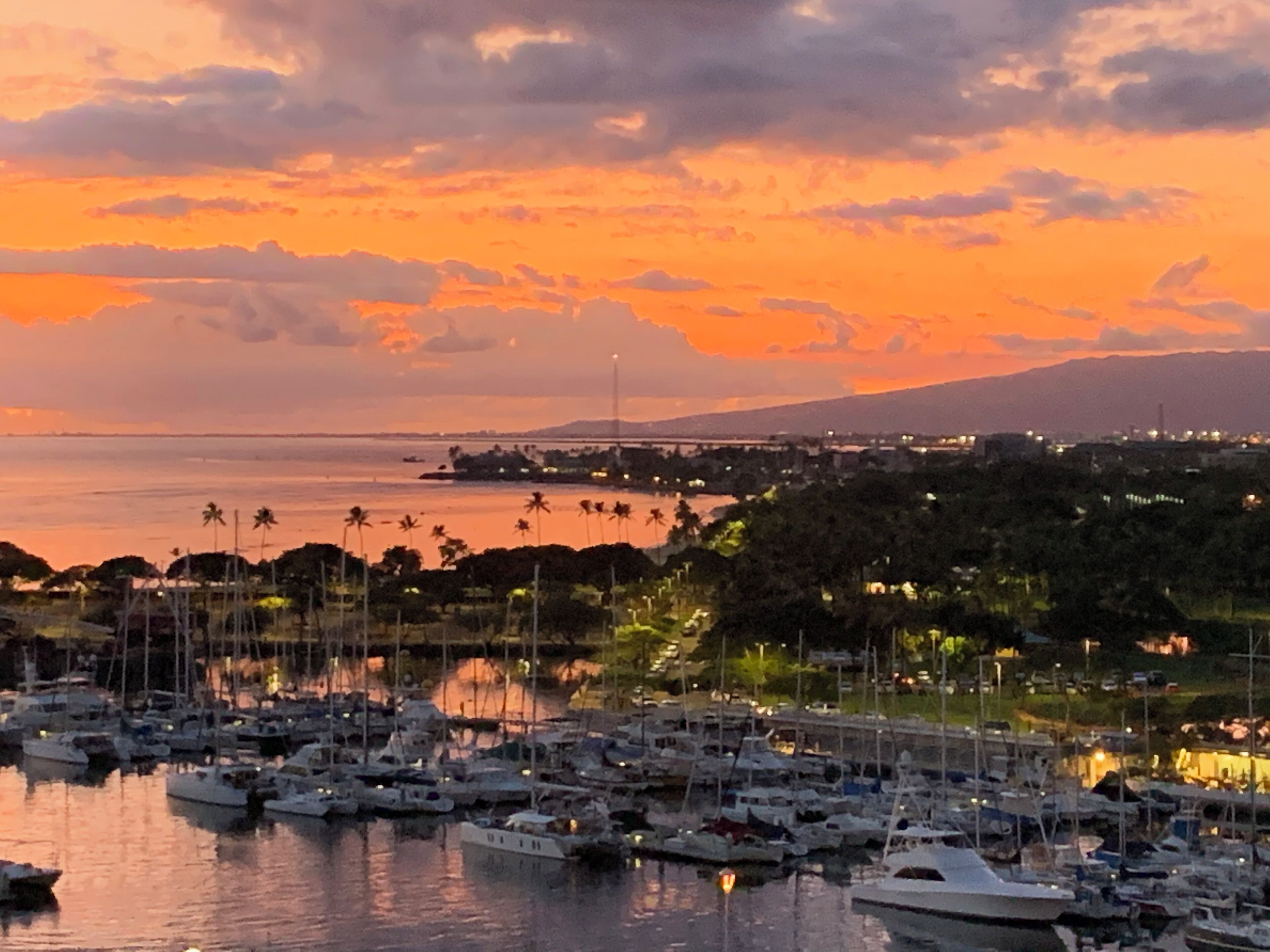 Magical Ocean View Oasis 3 Bedroom 3 Bathroom