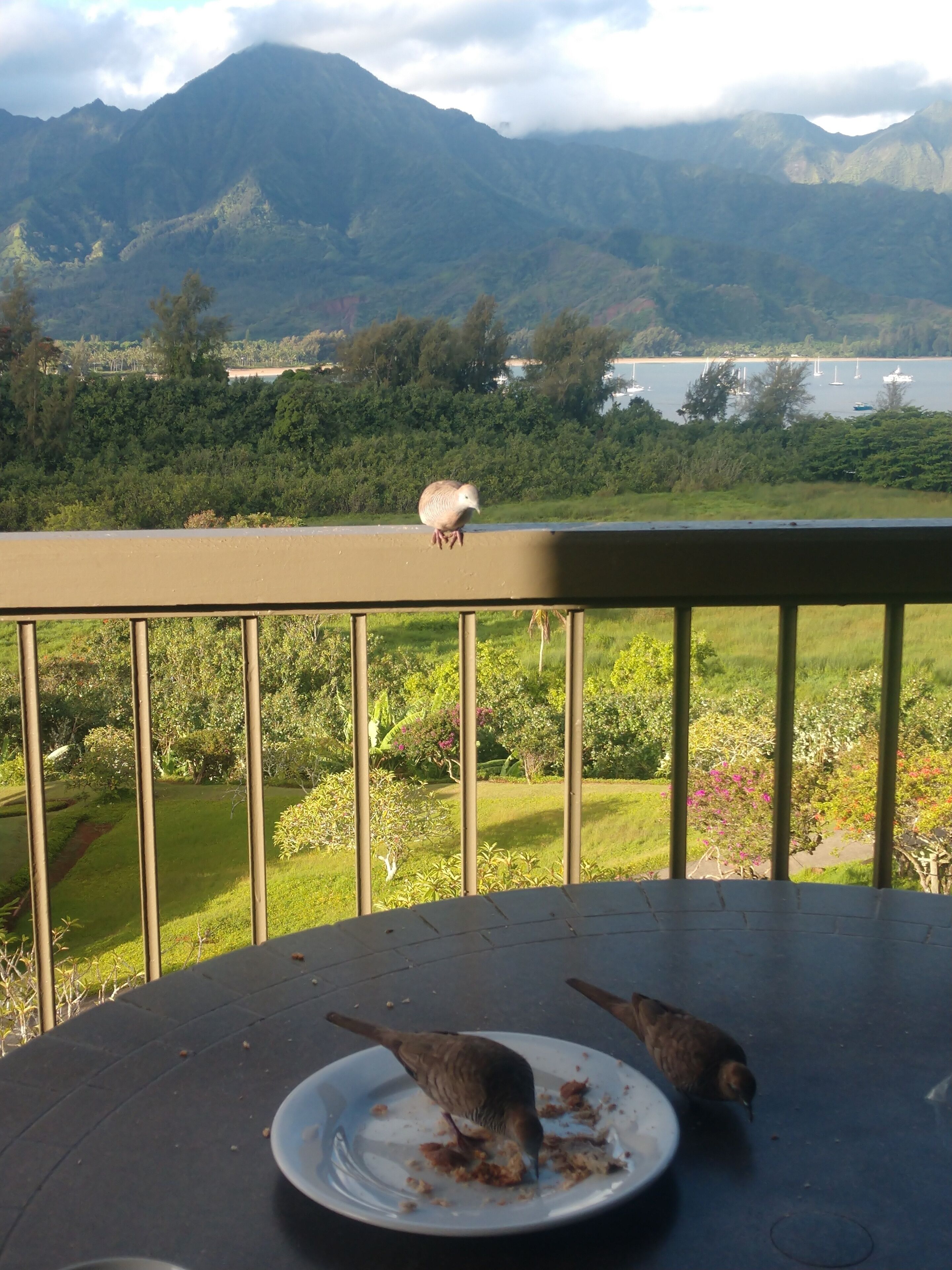 2 bdCondo:AC/Great View/WiFi/tennis&pickleball/pool/BBQ/near golf/Lovely Beaches