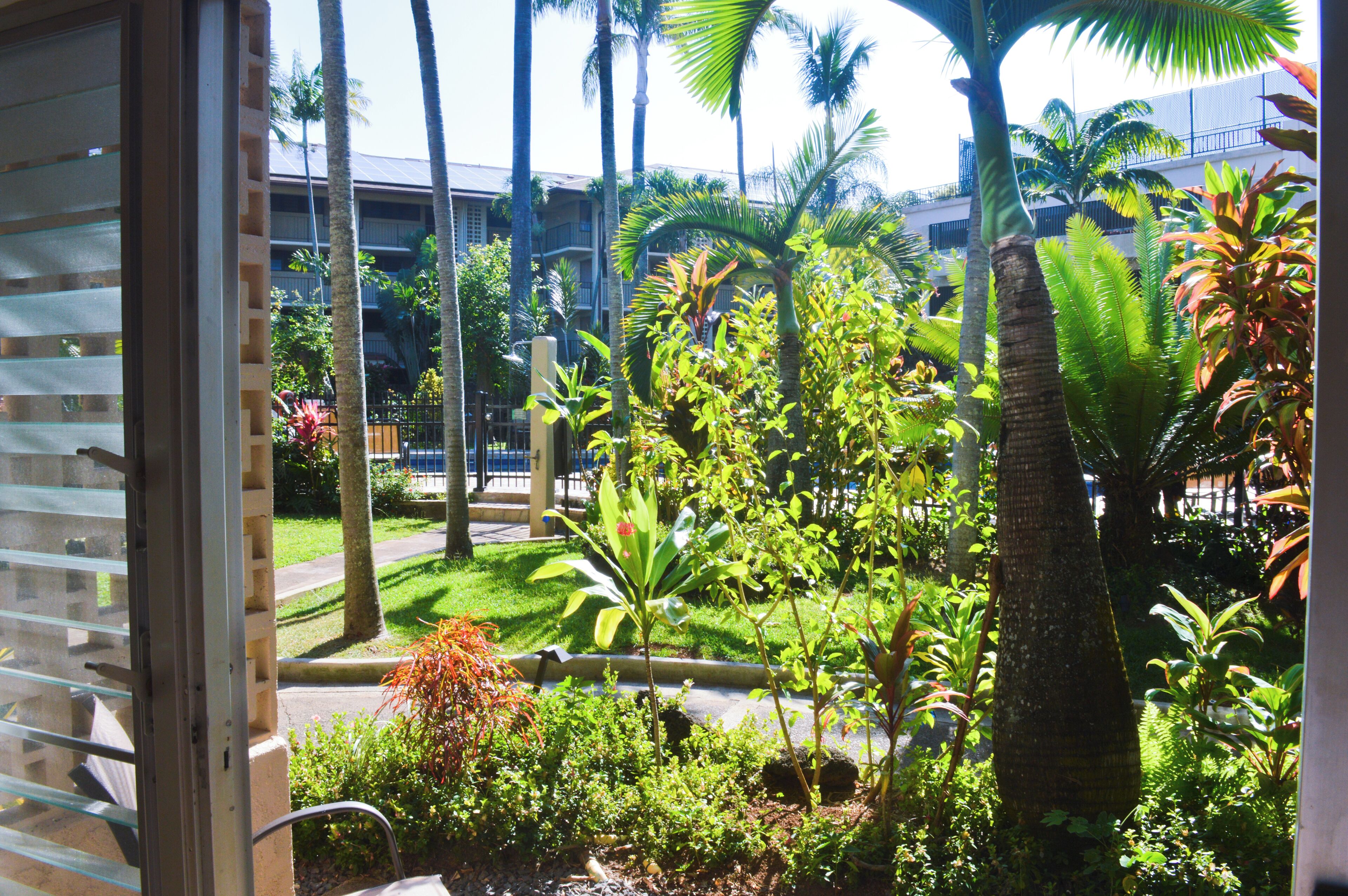 Instant Aloha!  Footsteps away from waves, sea life and sunsets.