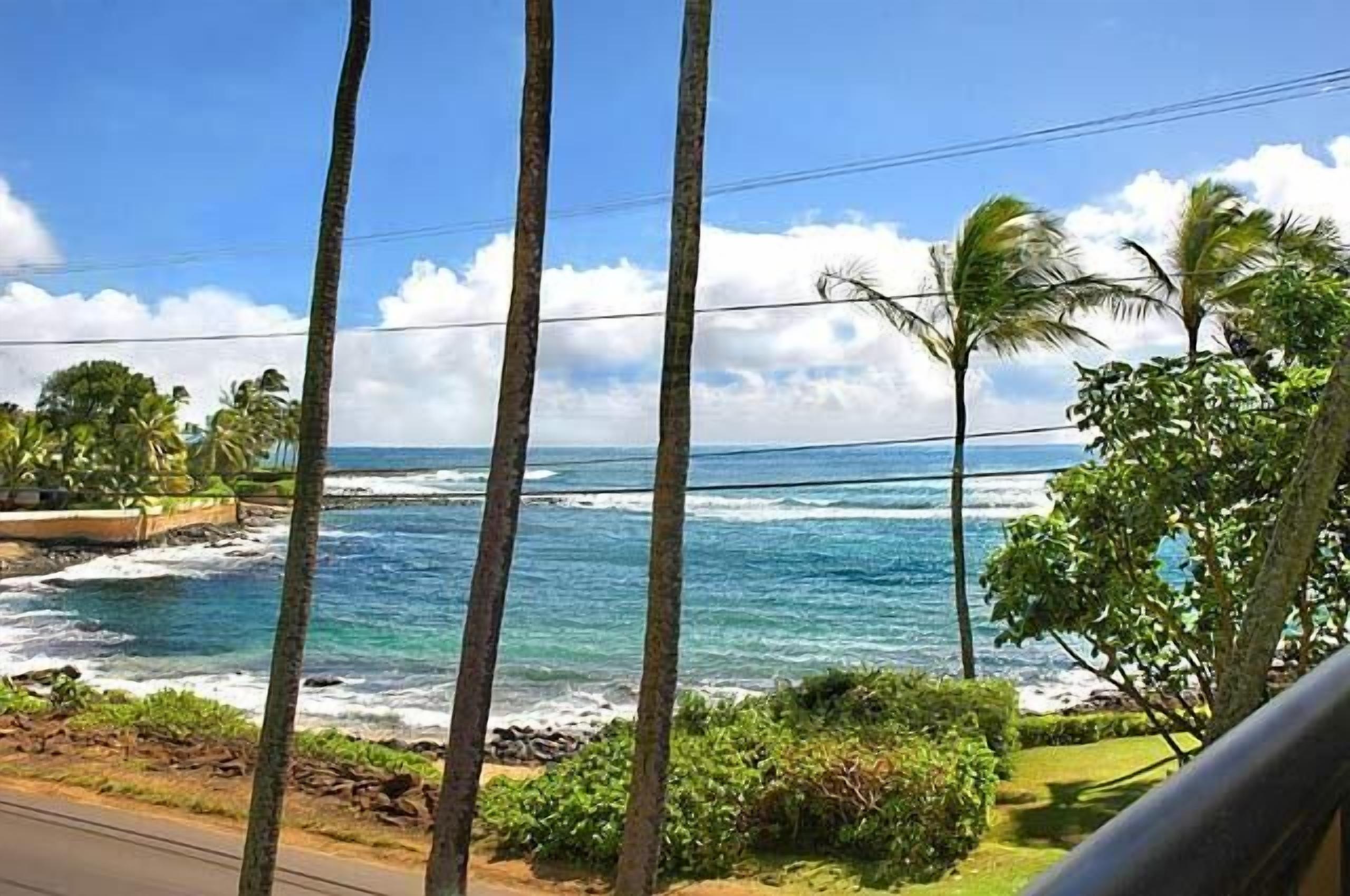 Fabulous condo, great ocean views, steps from a great snorkeling beach.