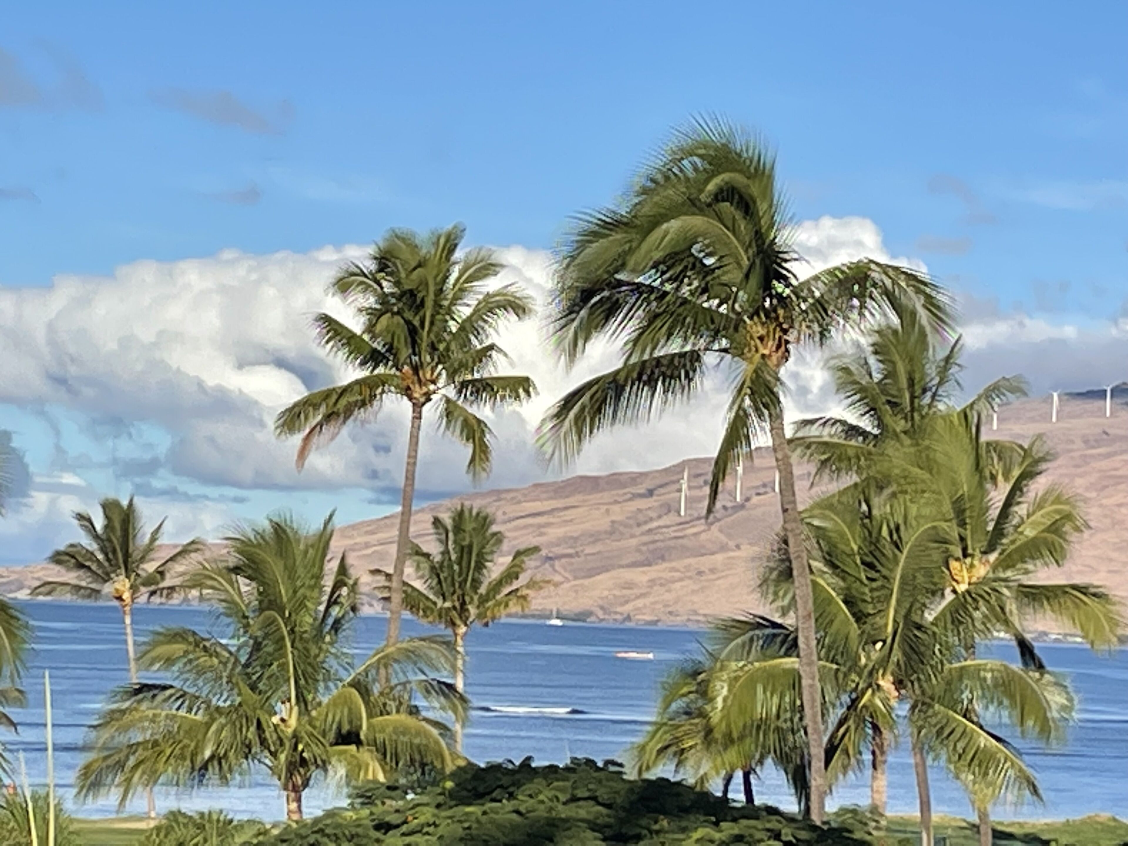 Maui Sunset B409 1 bedroom, 2 bath with ocean views!