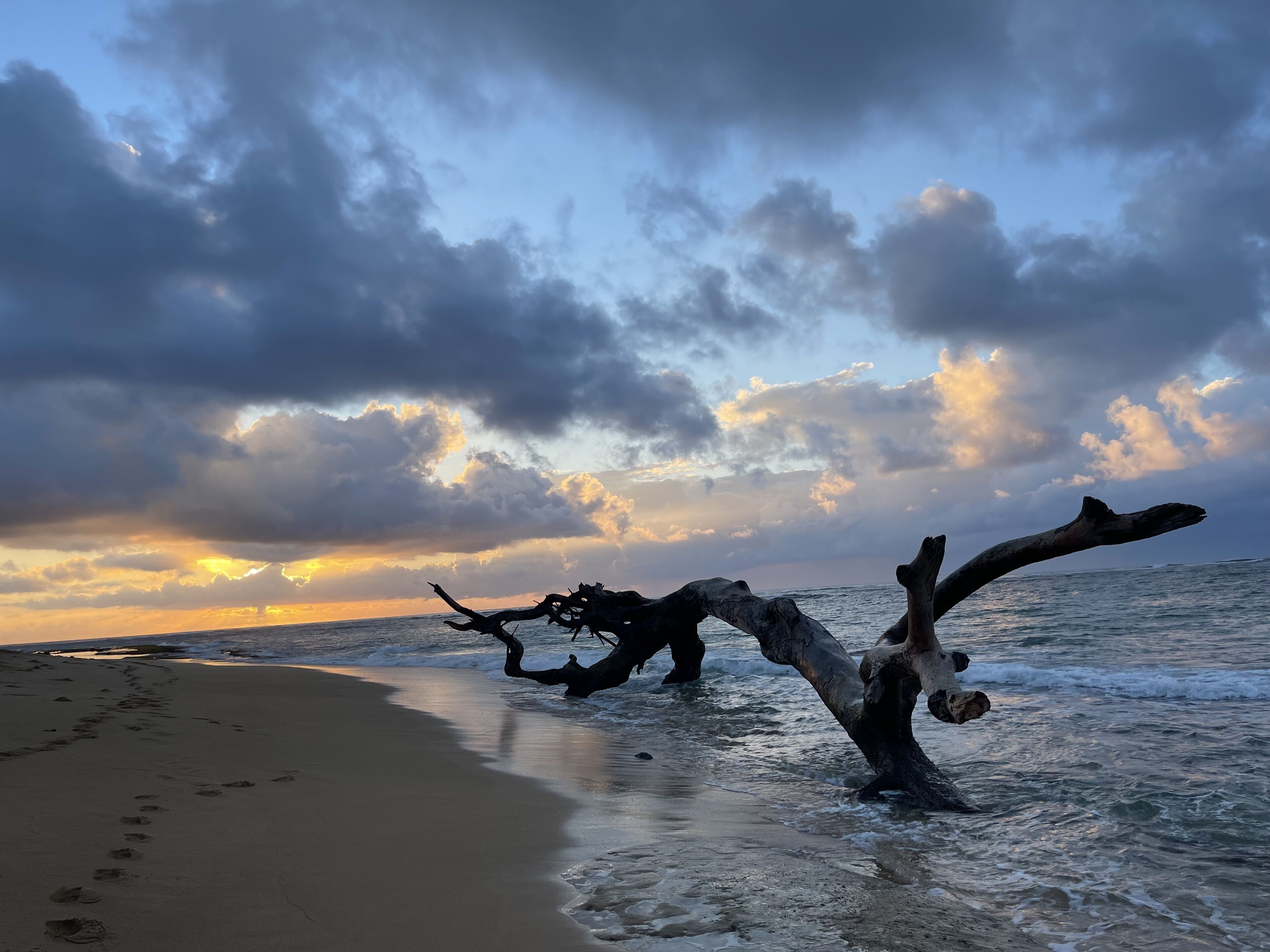 Hawaiian Plantation Style Cottage In Resort Location