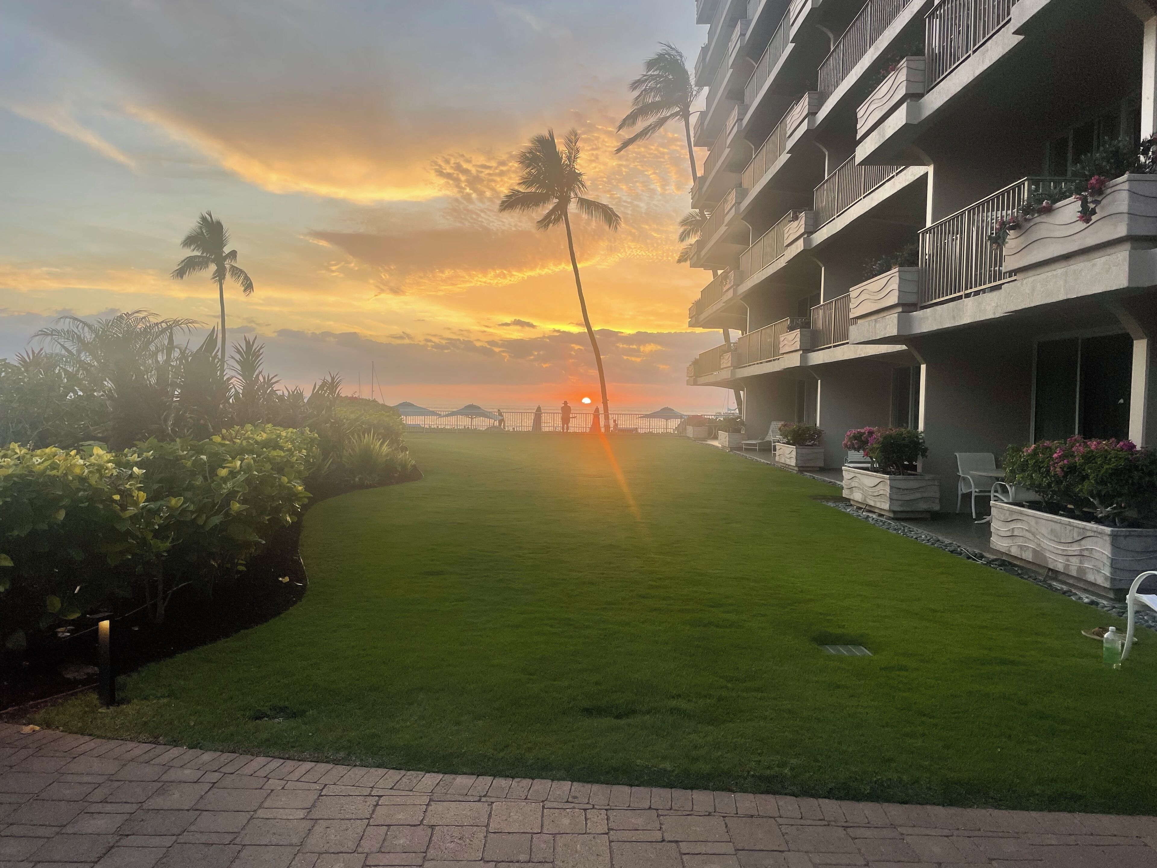 nGreat  1 bedroom with custom murphy bed in LR room,  61    reviews! HOTEL ZONED