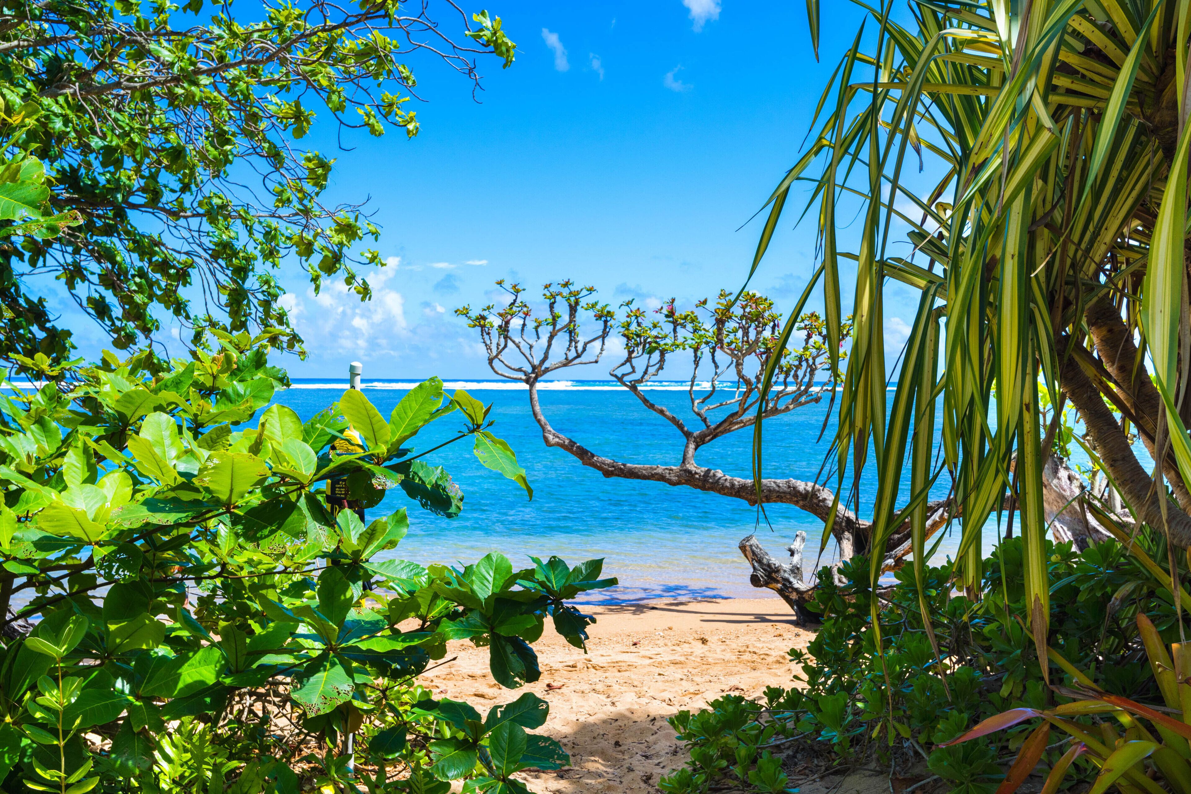 Charming cottage, nearby access to Anini beach - 85 steps away