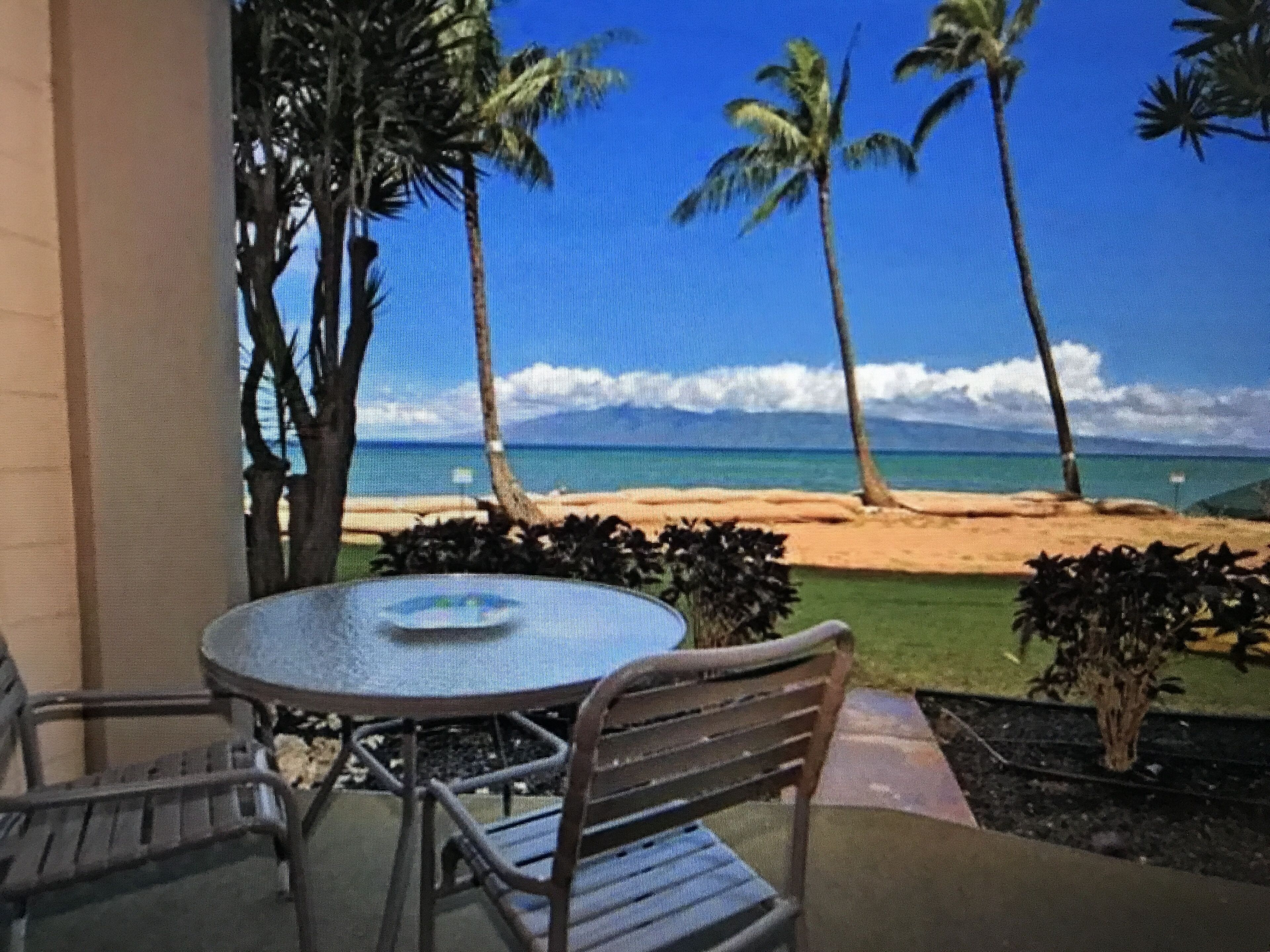 Ocean Front Studio Condo - Ground Floor, Walk Out Of The Unit And Onto The Beach