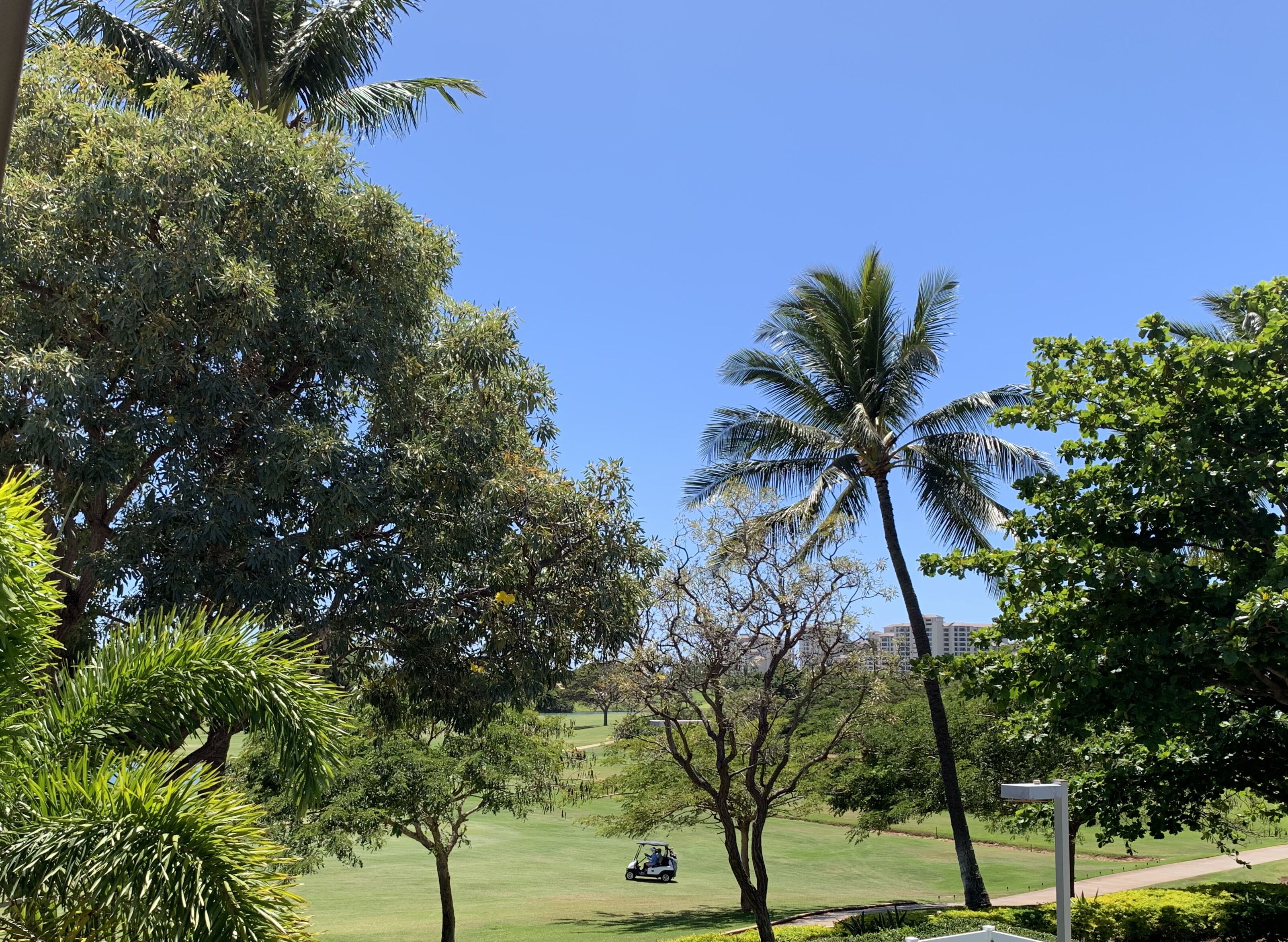 3BR for the Price of 2. Golf Course View & Golf Cart too!