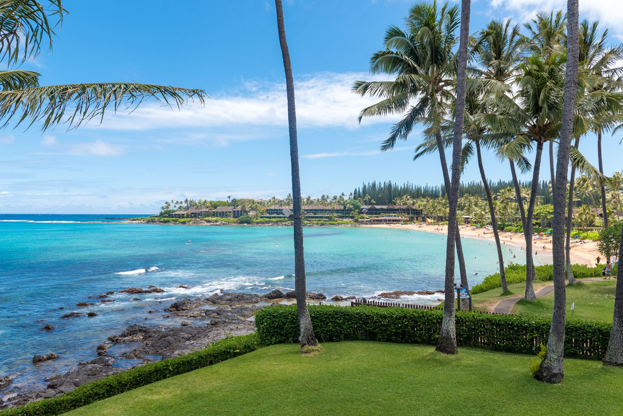 Napili Shores - B107  Ocean View 1 Bedroom Lower Unit - Just steps from the