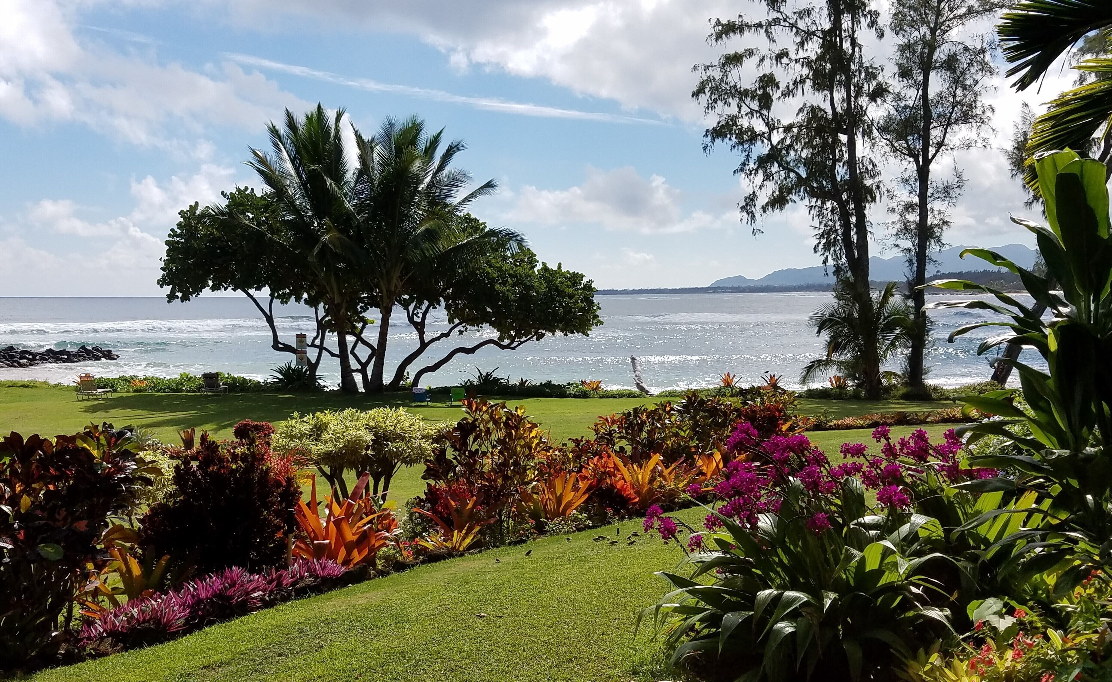 Luxury Oceanfront Condo - Fabulous Ground Floor 3BR/2BA, Sleeps 6 - Lae Nani 511