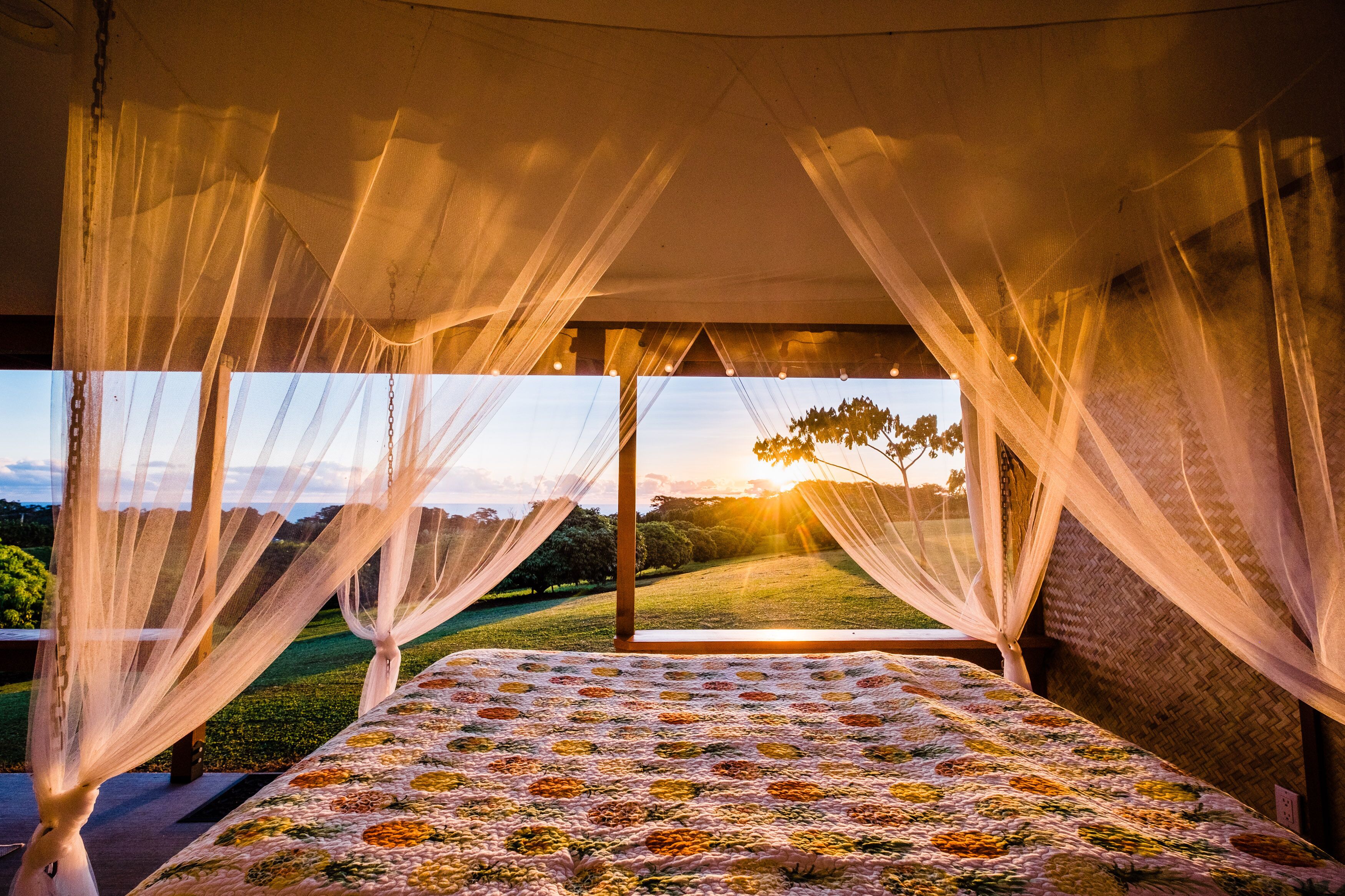 Hulili Tropical Fruit Farm - Pineapple Cottage