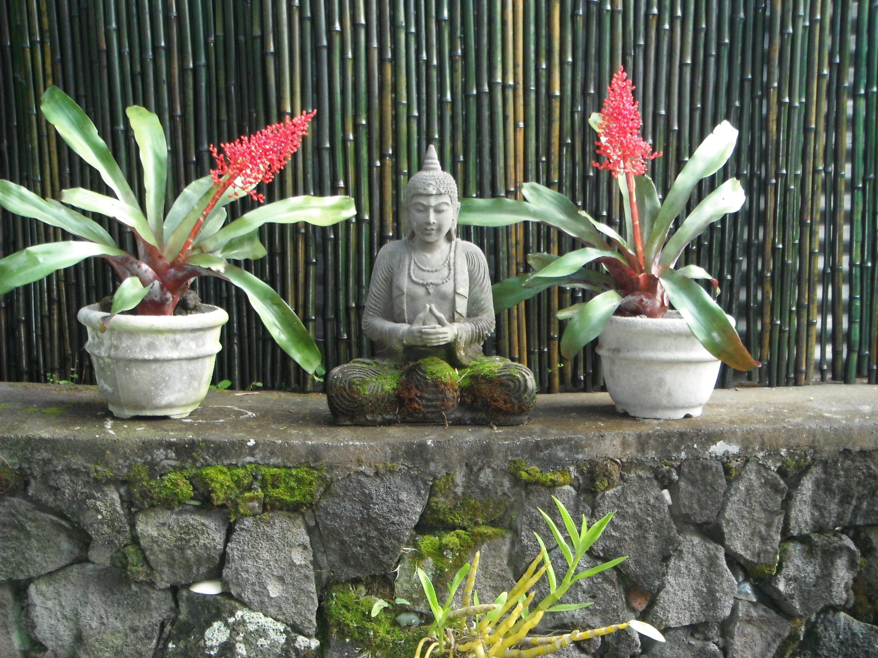 Private Island Style Cottage With Ocean View And Tropical Garden