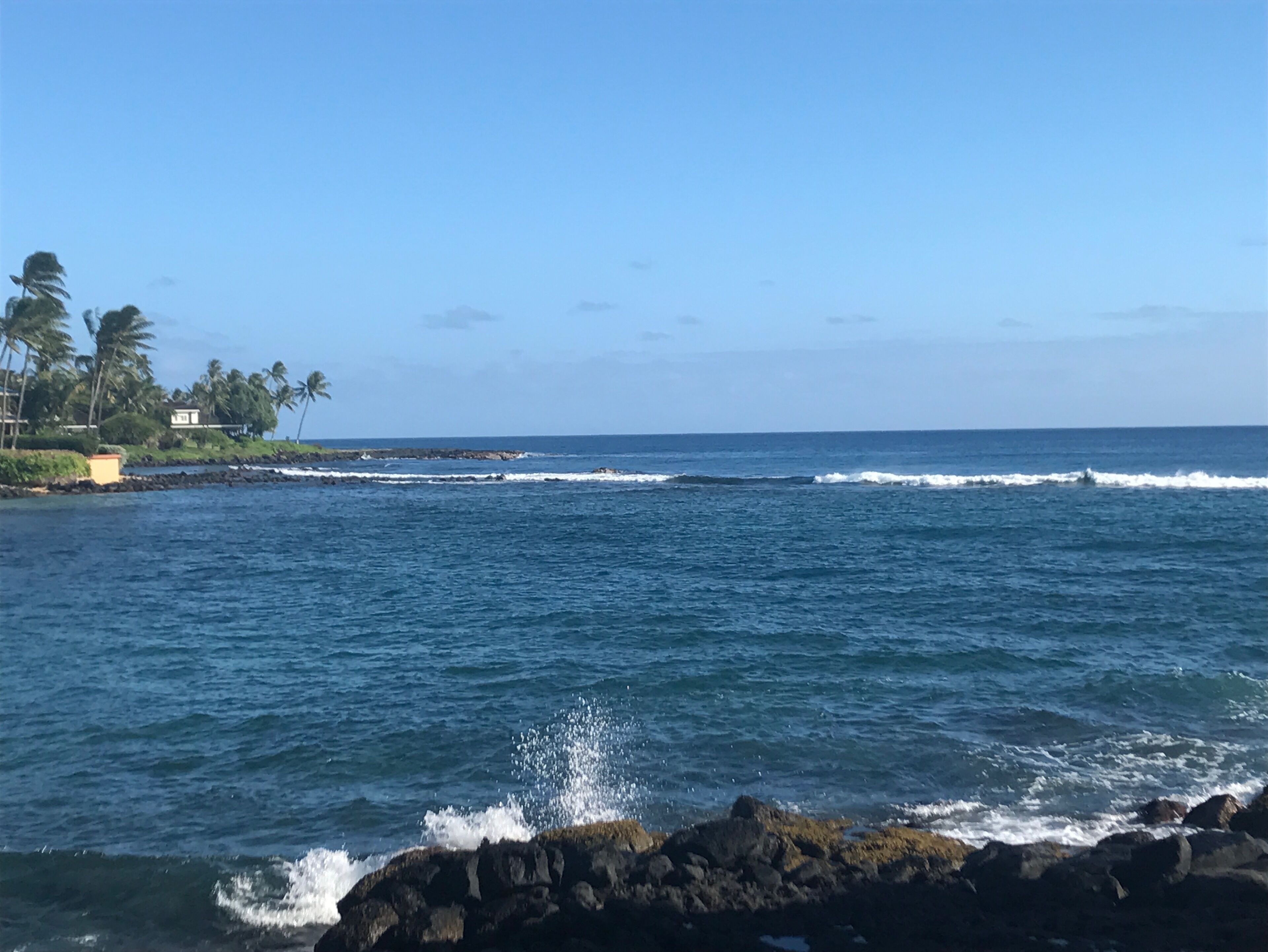 Fully Renovated Oceanfront with Air Cond. Ground Floor Unit with Spacious Lanai!