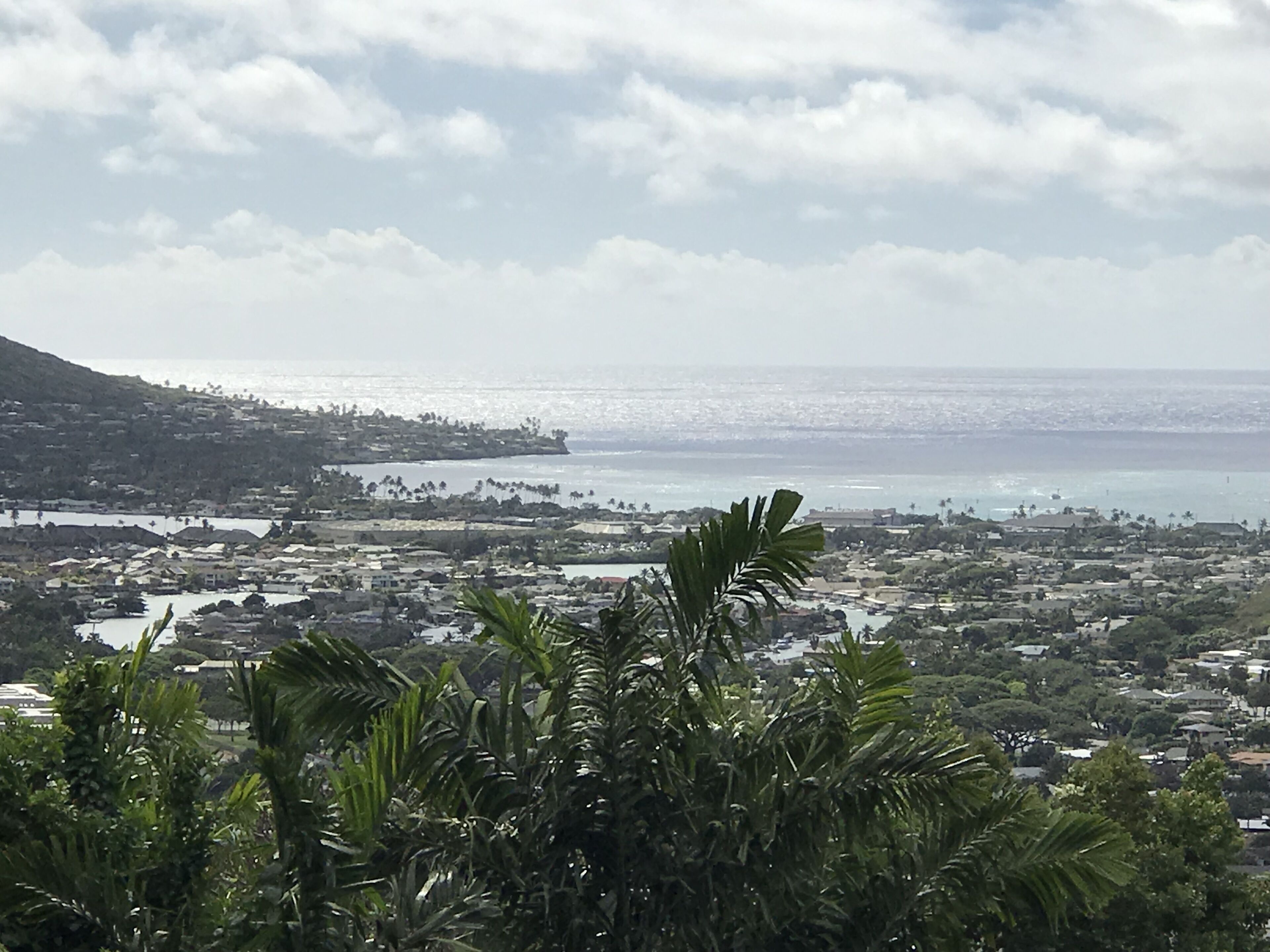 Ocean View Cottage with Separate Suite