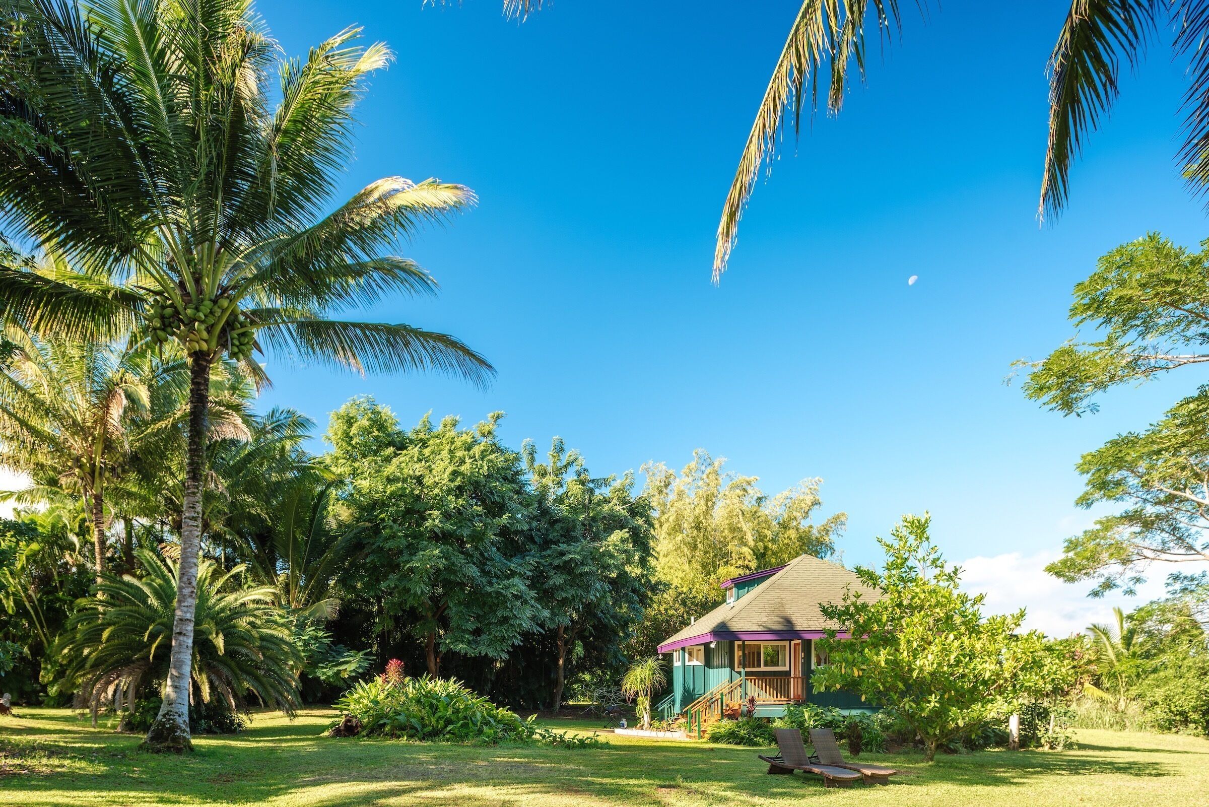 Hale Kokio: A Magical, Romantic Cottage, on North Shore Kauai #4212
