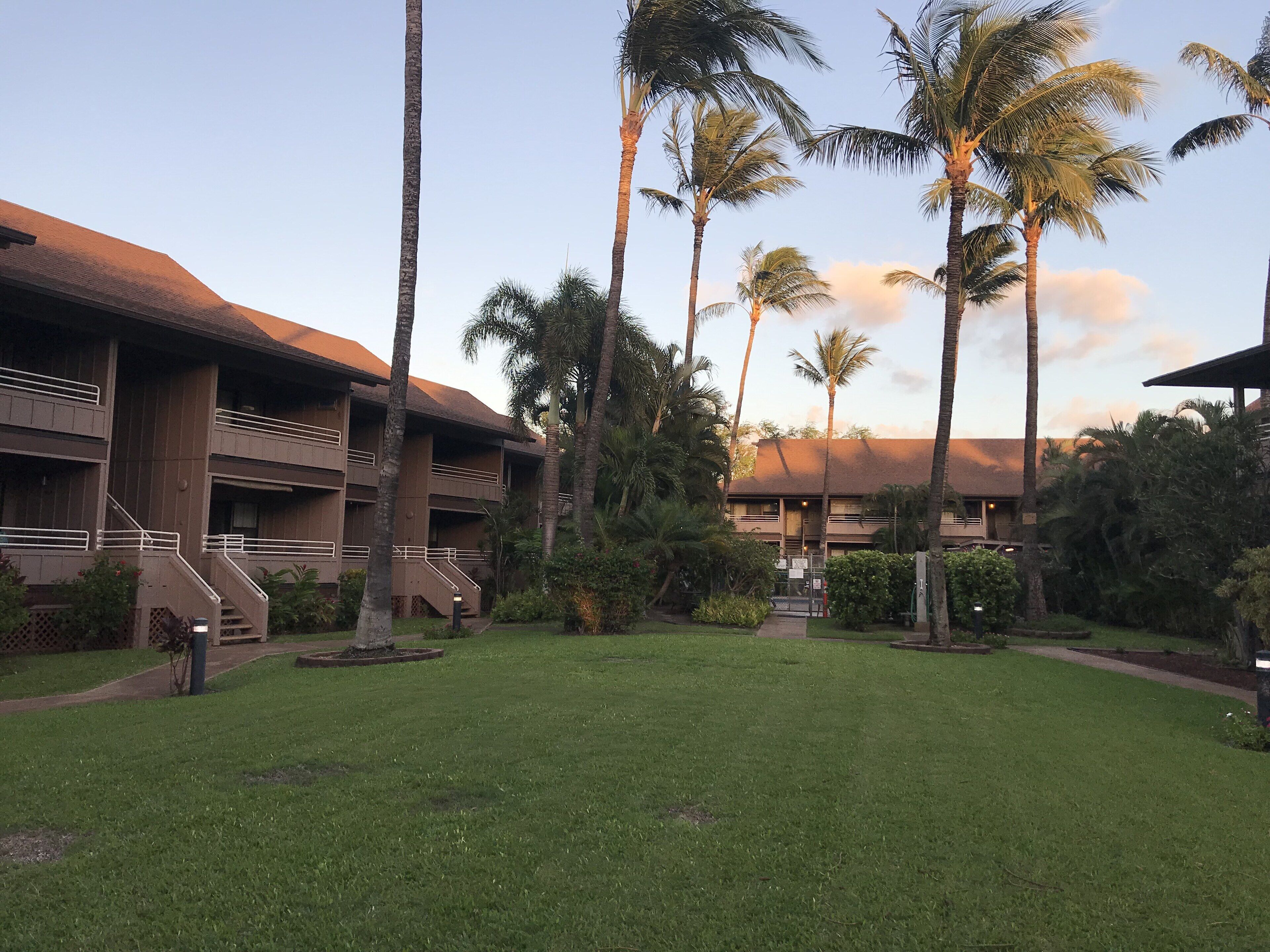 Steps to the Beach, Beautiful, Clean 1 Bedroom Condo