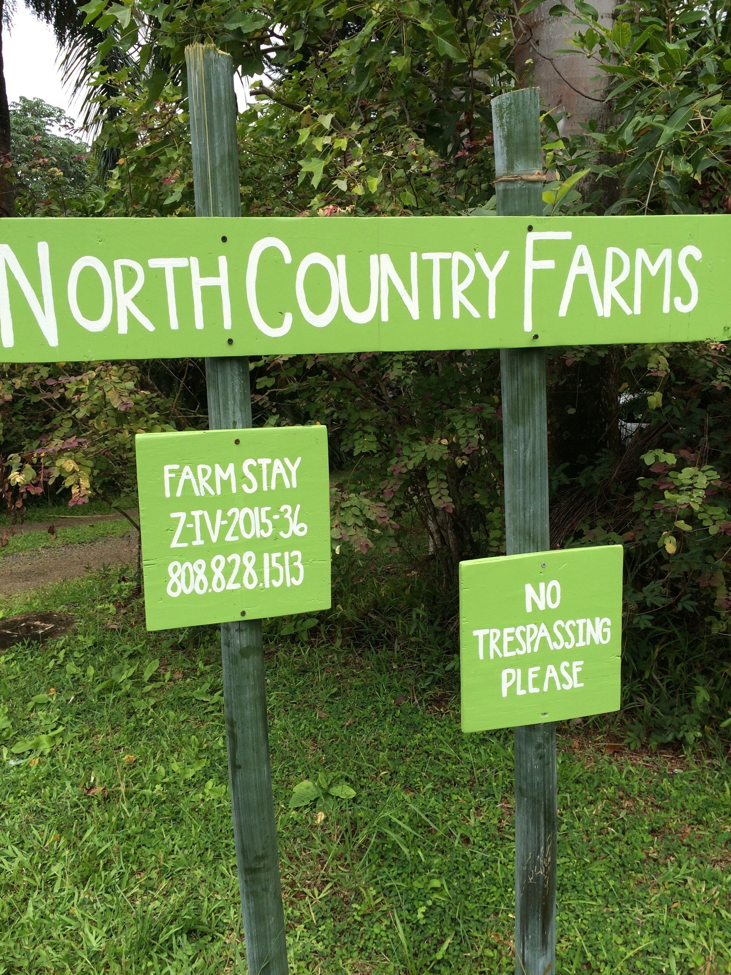 Farm Stay Cottage on Organic Farm