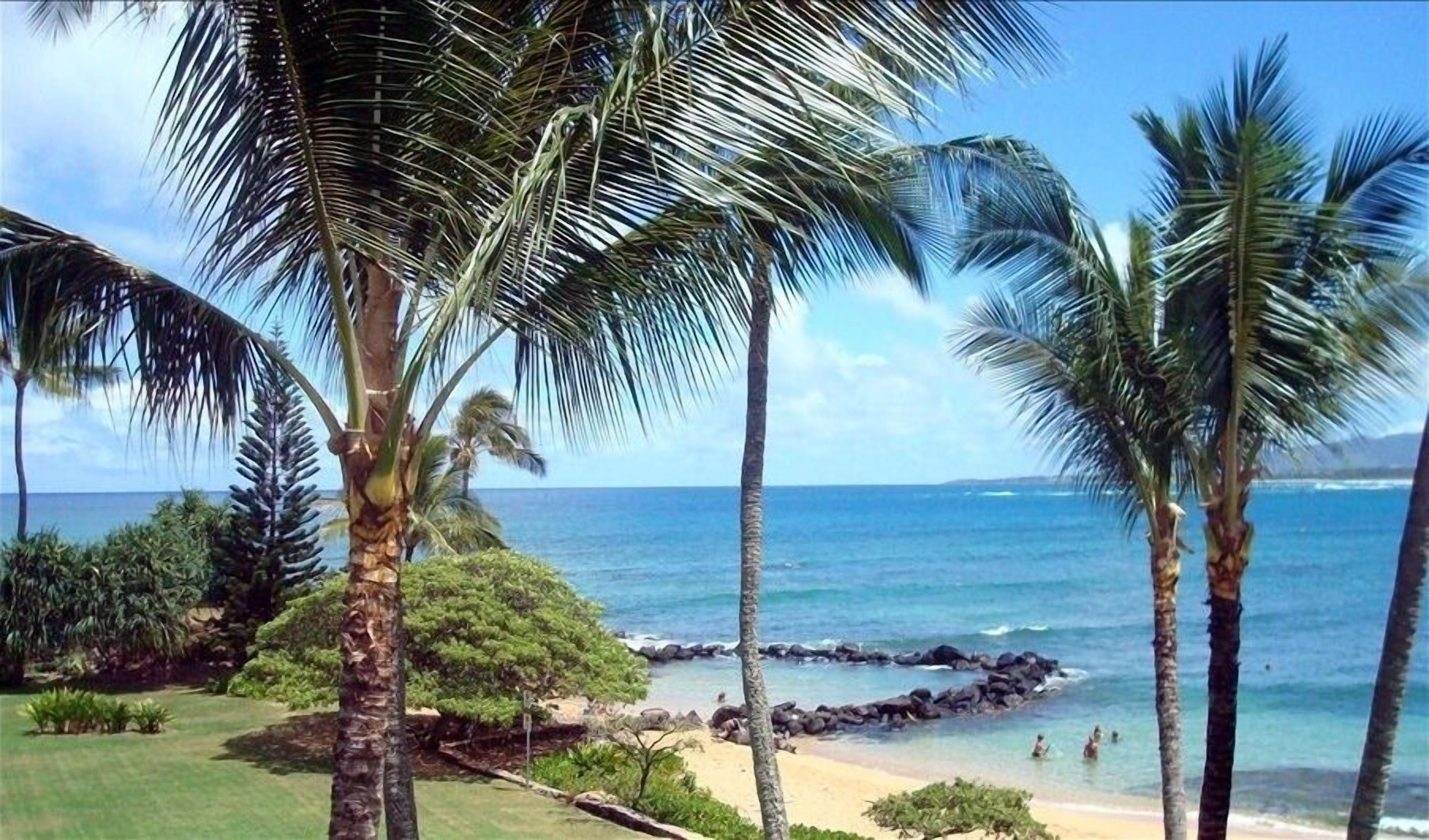 Beautiful Ocean Front Private Resort Condo Rental by the coconut coast.