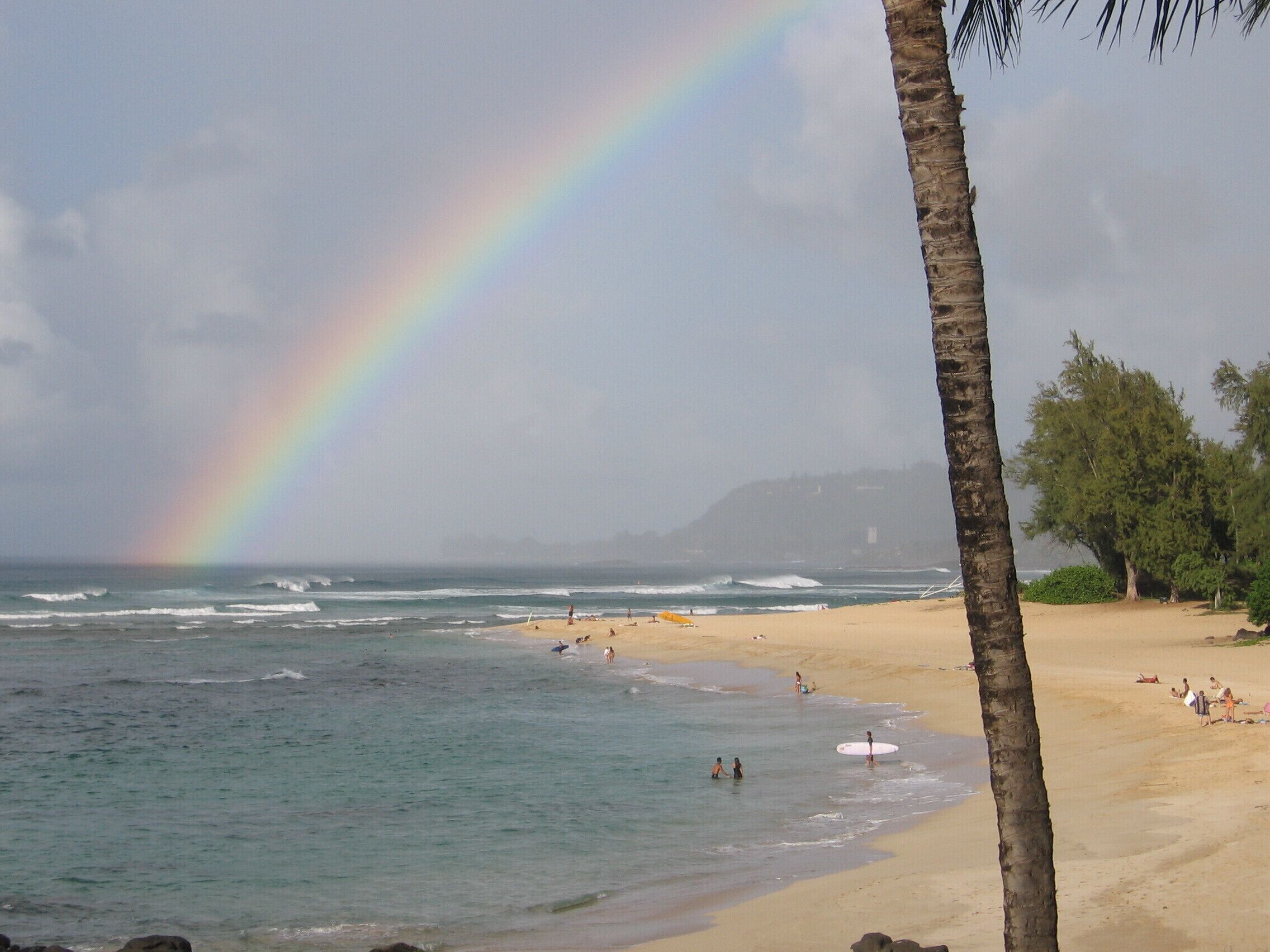 Oceanfront Beach House - Tropical Paradise!