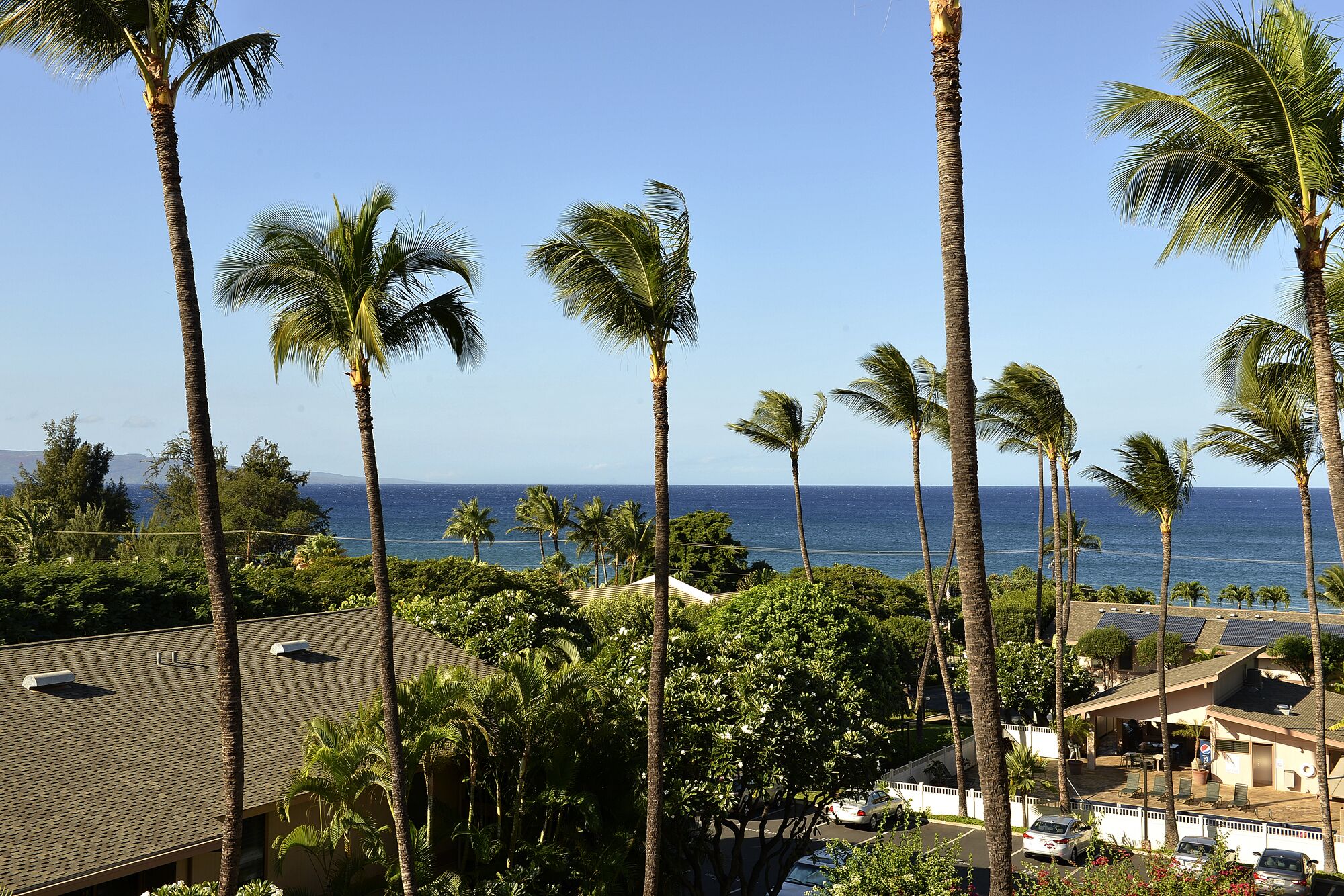 Oceanview 5th Floor Retreat Steps from the Beach,