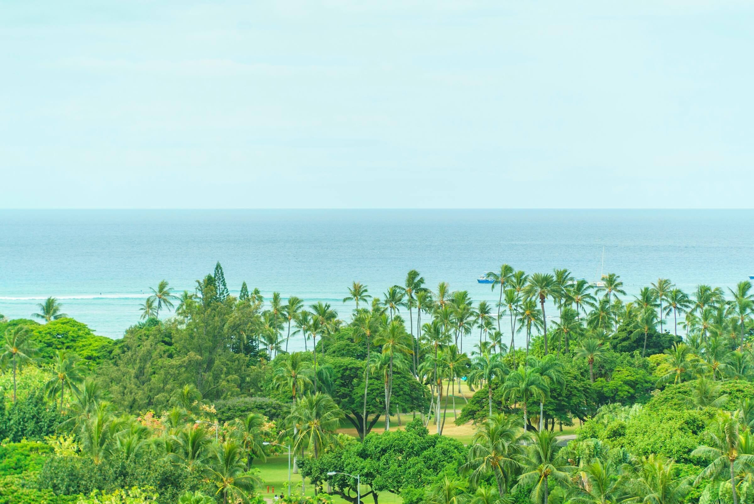 Large Roof Balcony (1,385 Sqft)!! Comfortable 2 Bedroom at Waikiki! (LW14)