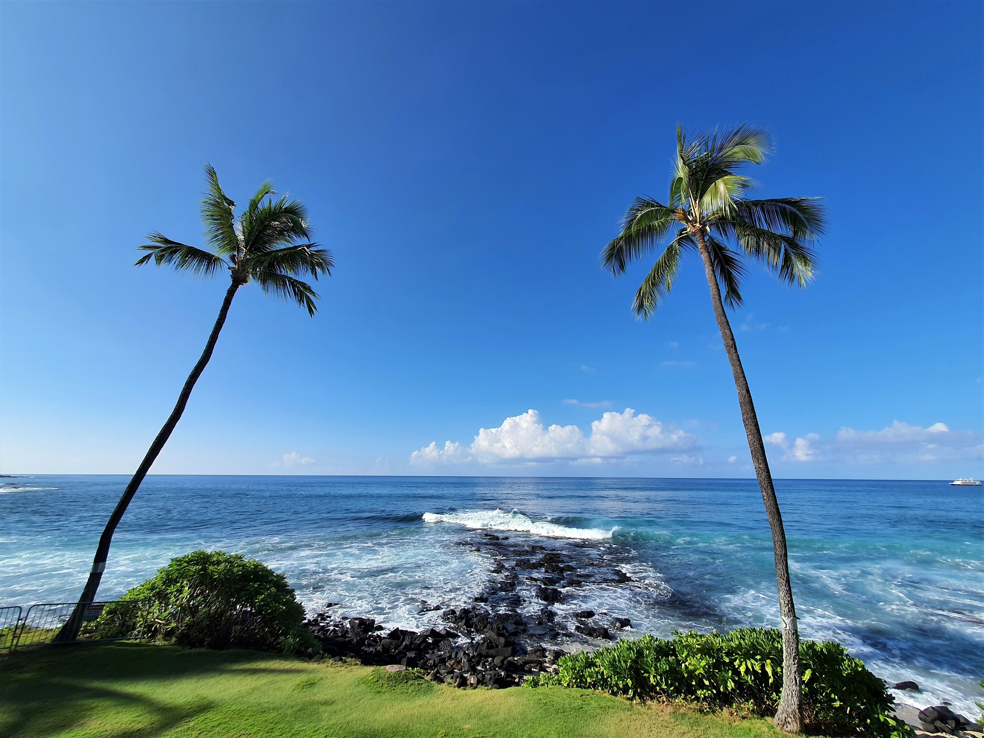 True Oceanfront One Bedroom Condo with Amazing View and Great Location