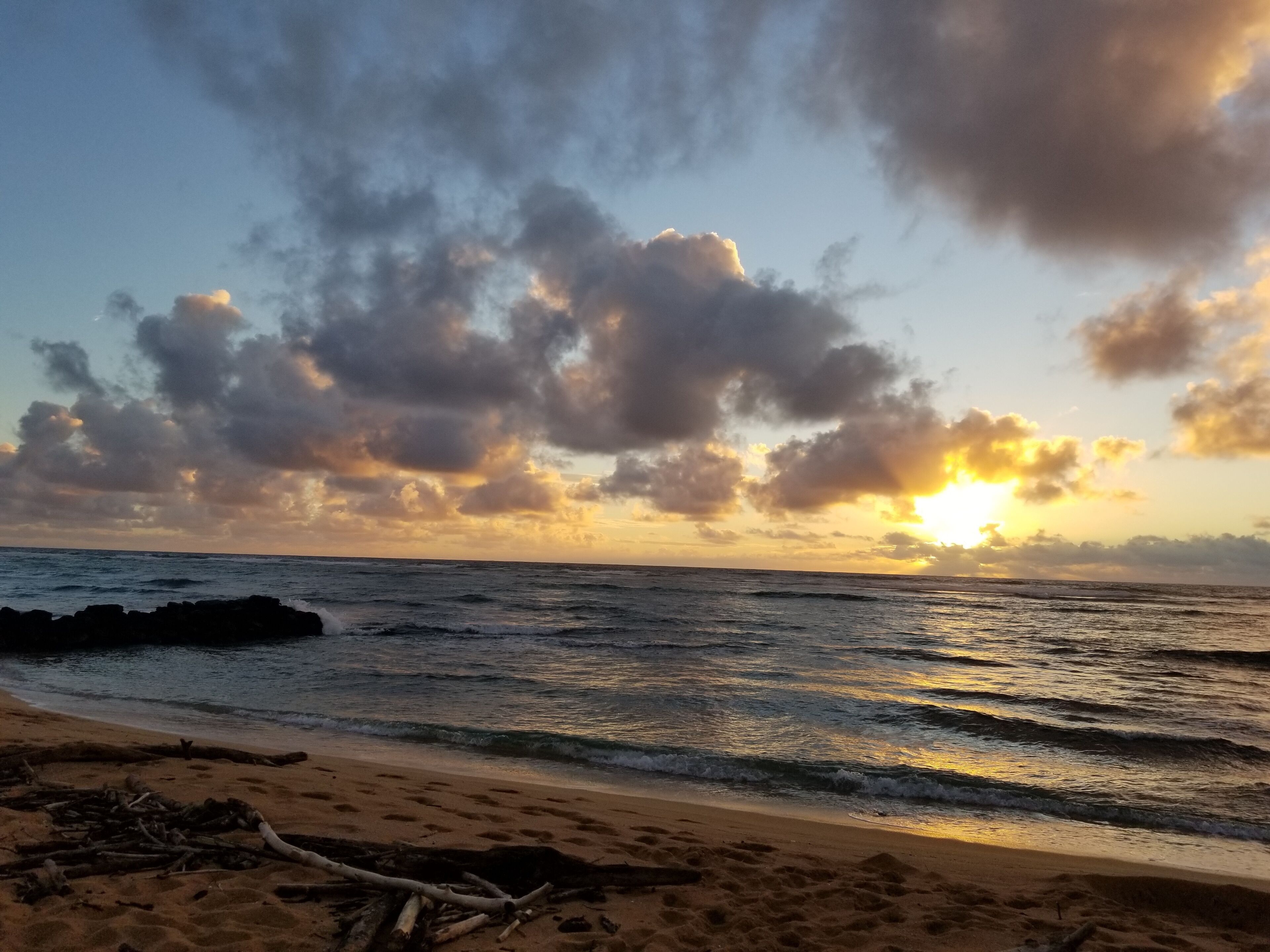 Luxury Ocean Front Property!  Ocean& pool view.  B204