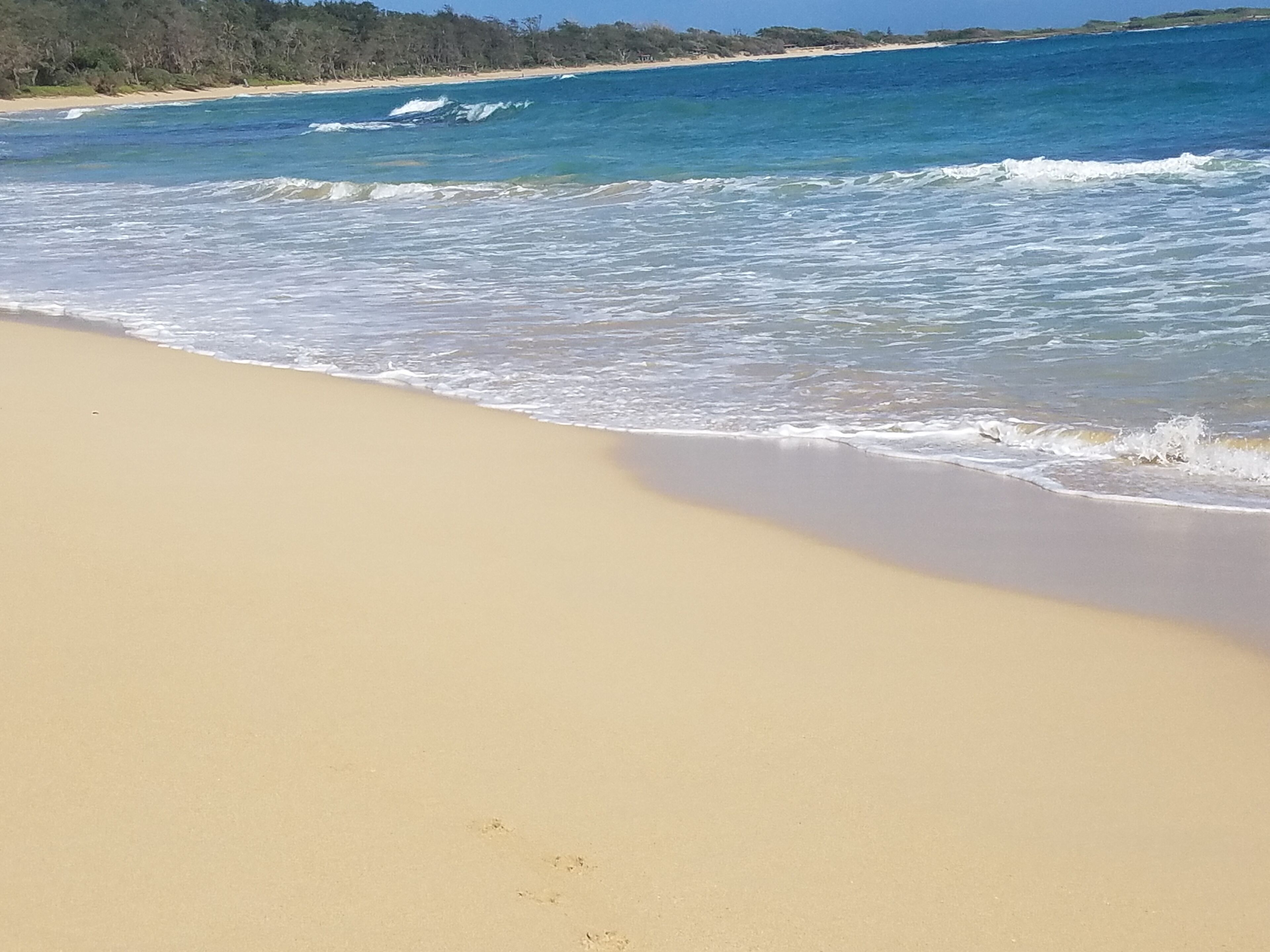 Malaekahana Ocean Front Cottage (30 day min)