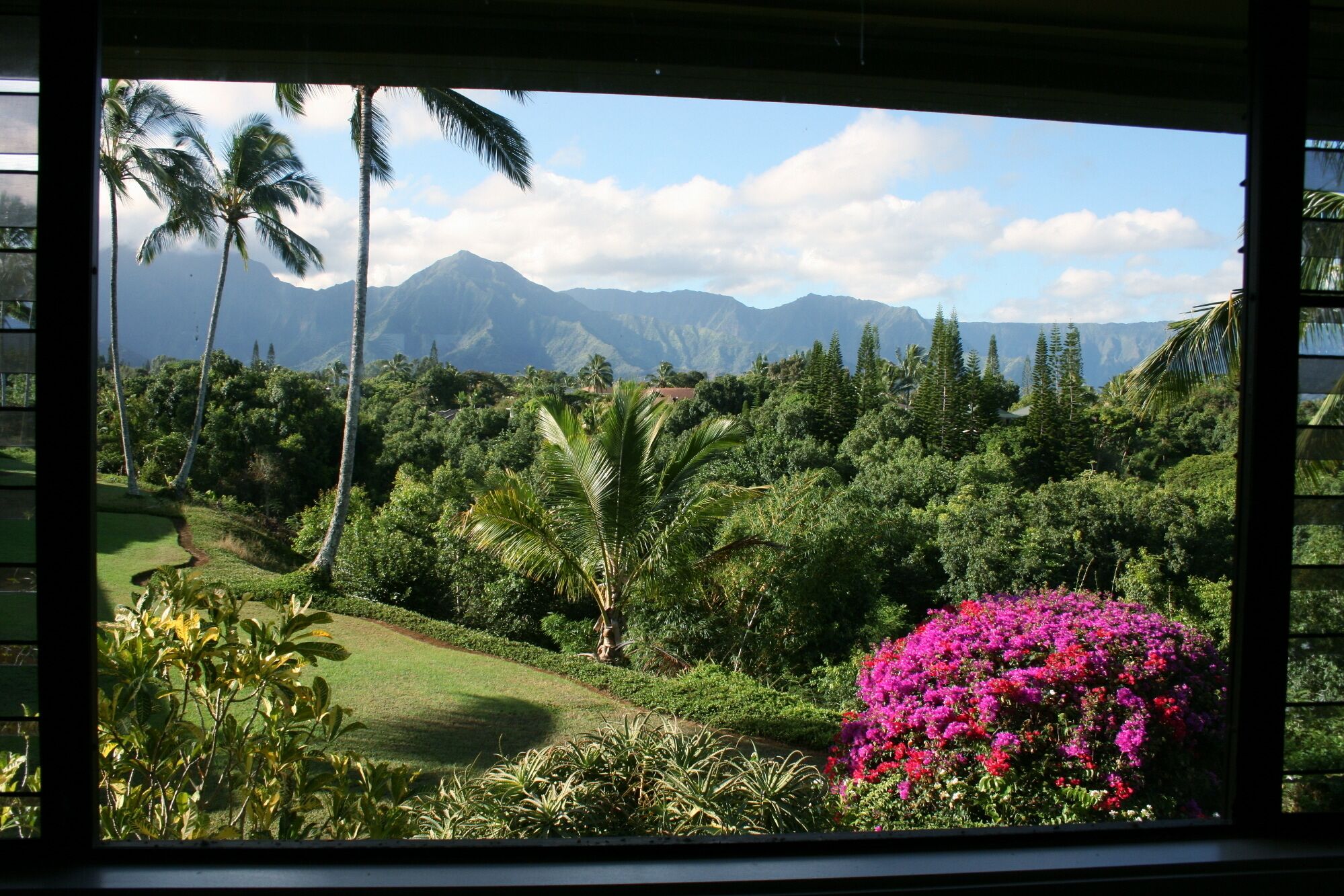 100% Renovated Luxury Condo with Ocean/Jungle/Mountain/Waterfall Views