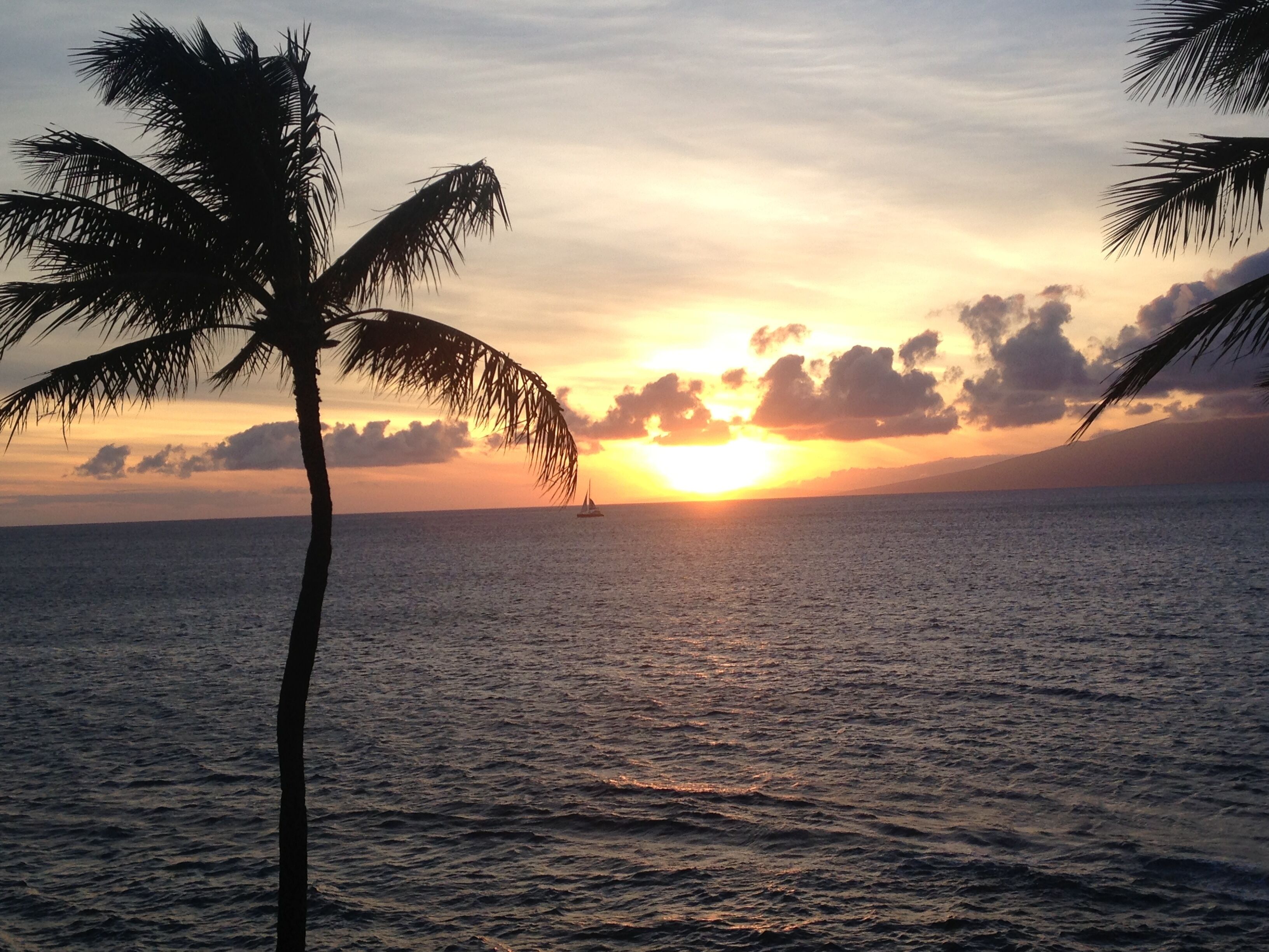 Gorgeous Oceanfront Condo, 1 Bedroom, 1 Bath, Sleeps 4