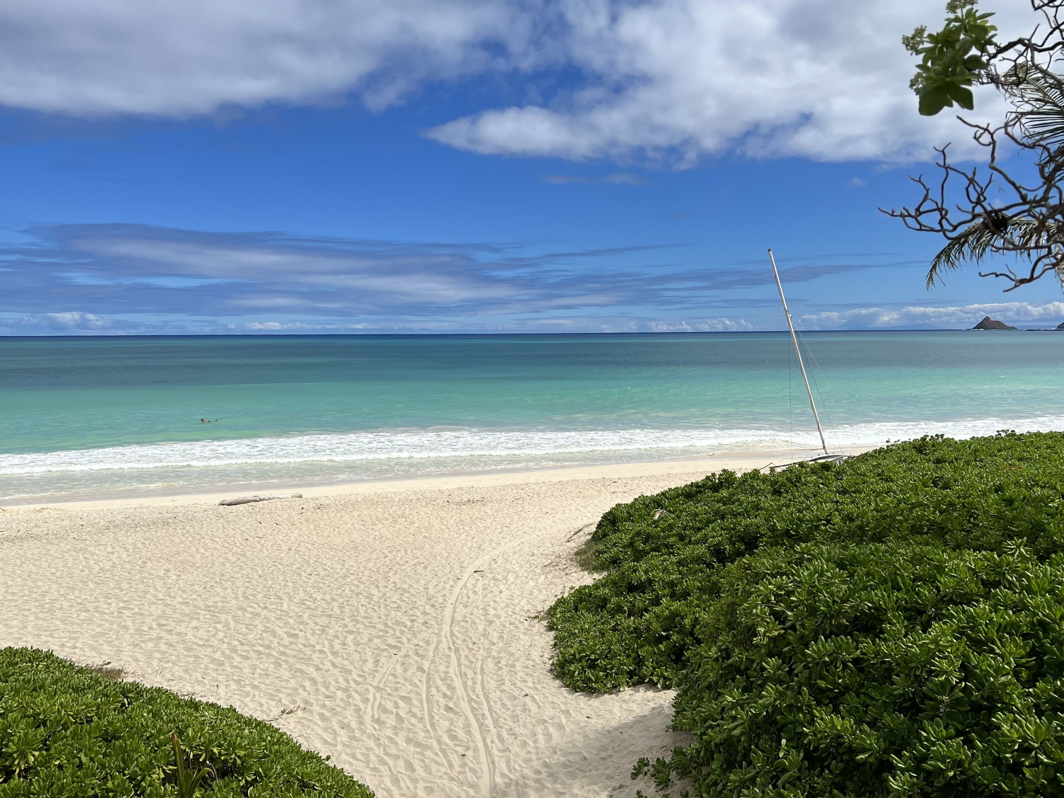 Ocean View Guest Cottage - 1990/NUC-1797