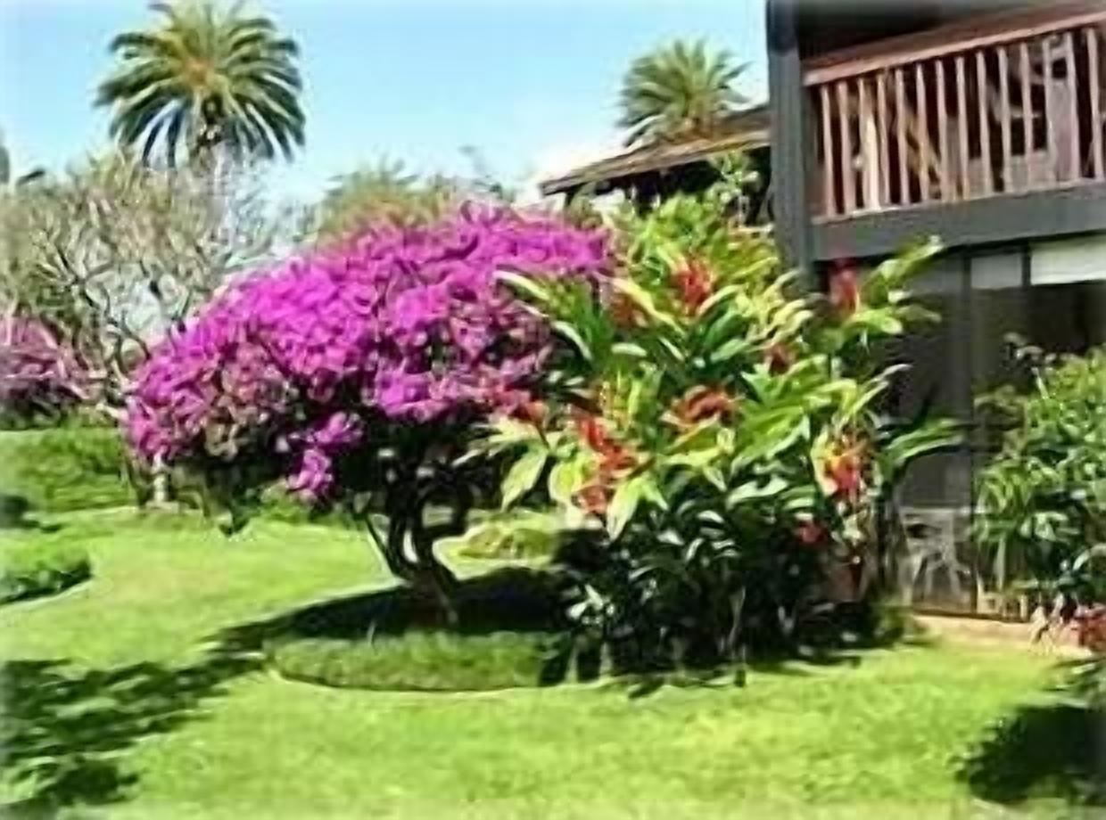 Northshore Hawaiian Experience 1 Bedroom at Kuilima East