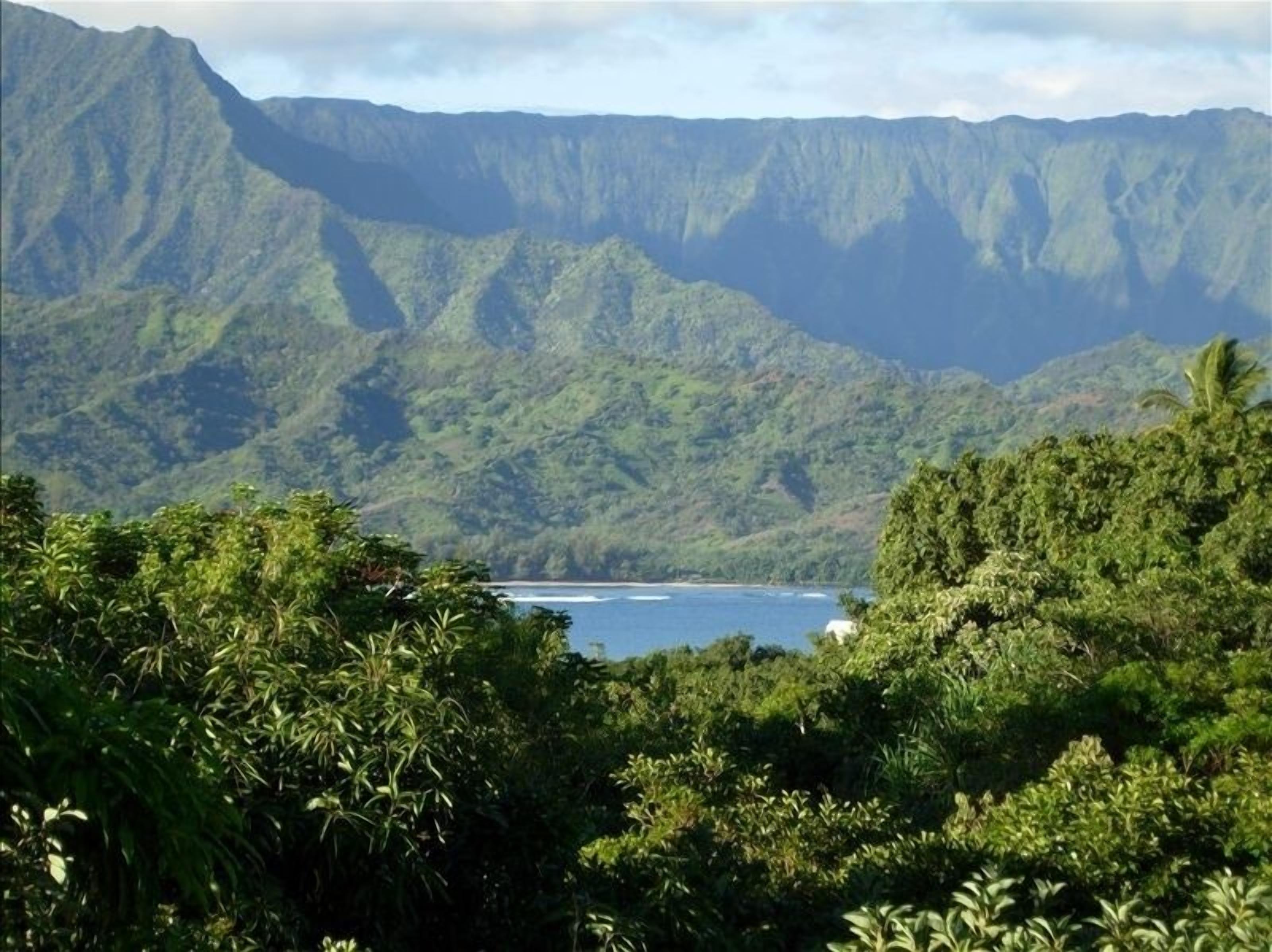 Enjoy the View  - Listen to Nature - Hanalei Bay Villa #37