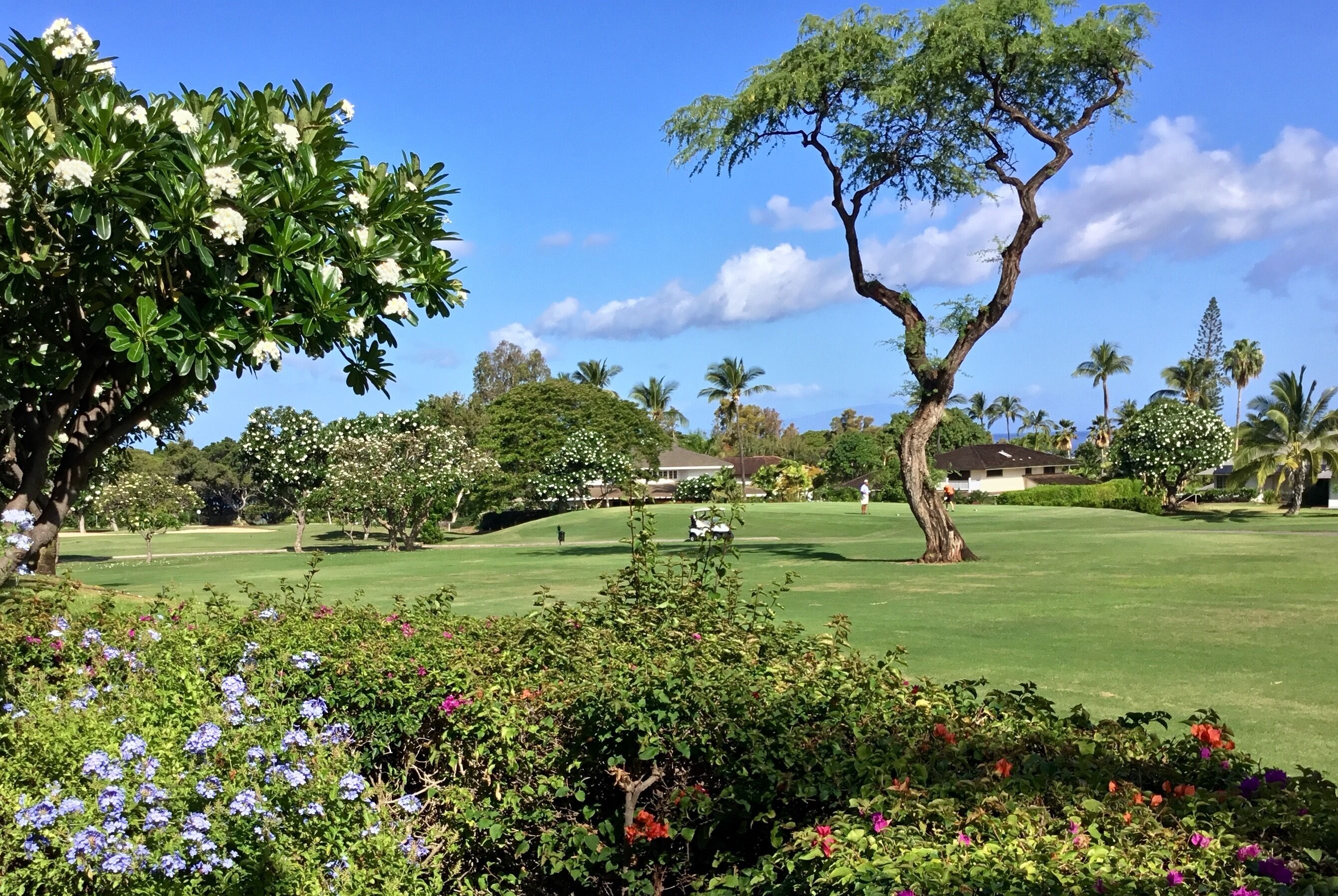 Wailea Grand Champions #157 Great views, Free high speed Internet & Free parking