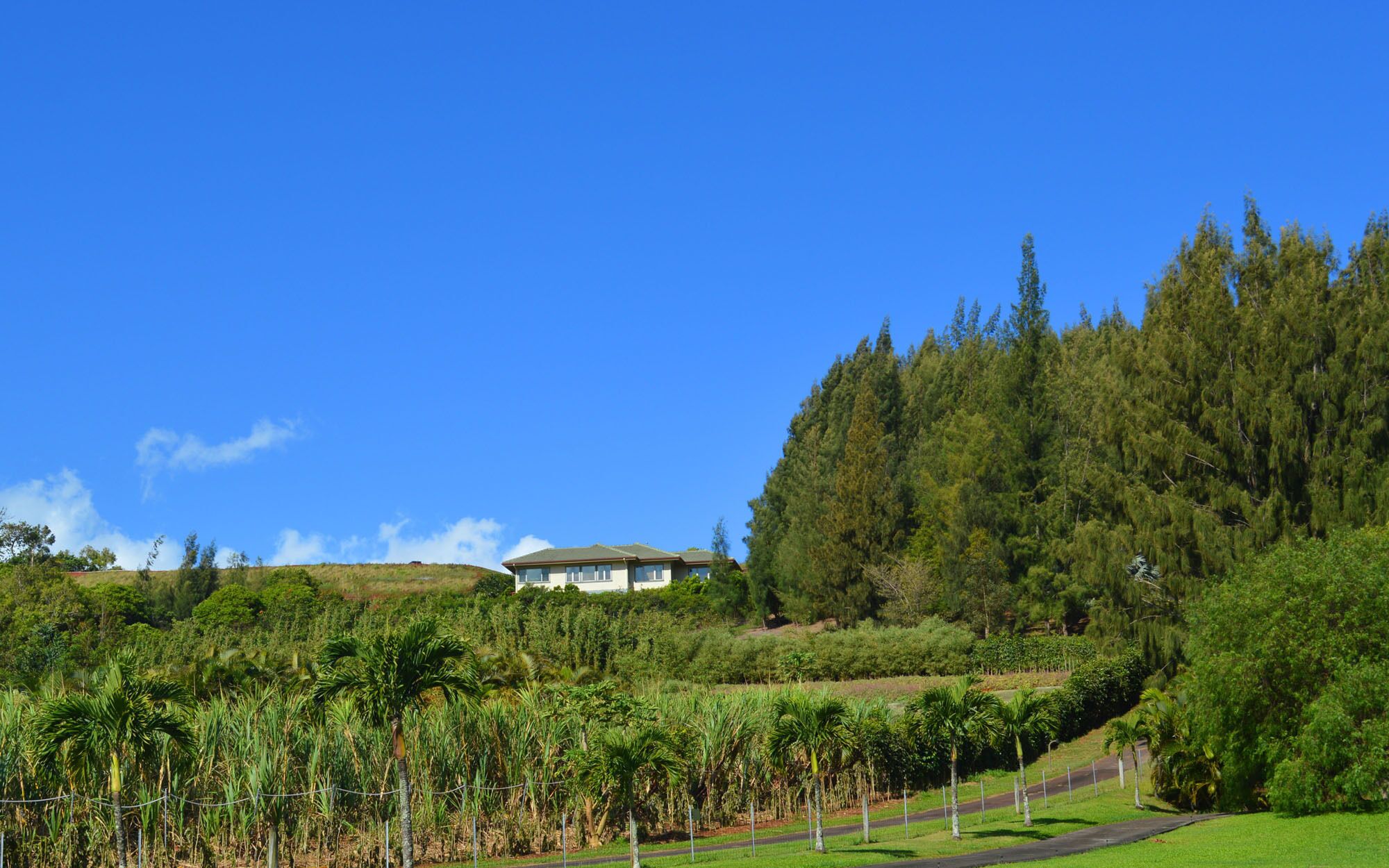 Nestle Into Your Private Cottage After a Busy Day. Enjoy the Hottub - Permitted