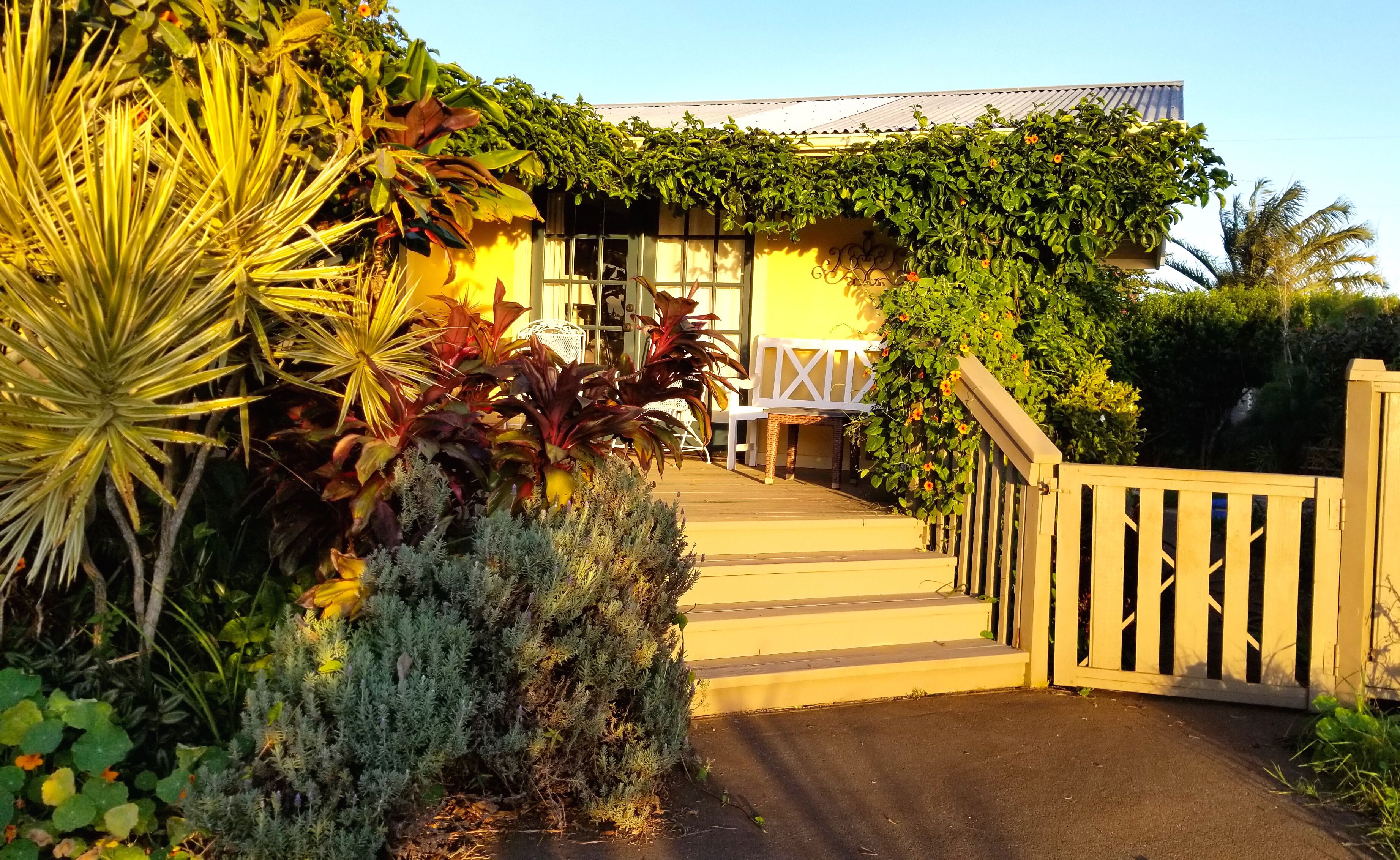 Lilikoi Cottage - In The Heart of Lovely Waimea