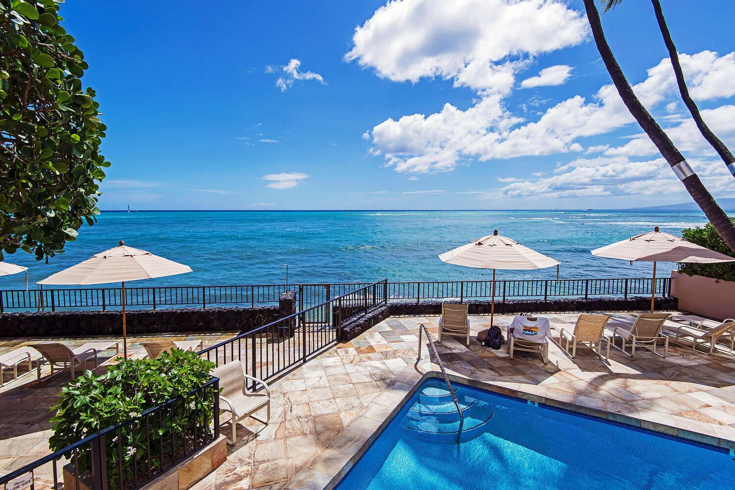 Executive Gold Coast Oceanfront Suite: Diamond Head Views, Amazing Seaside Pool