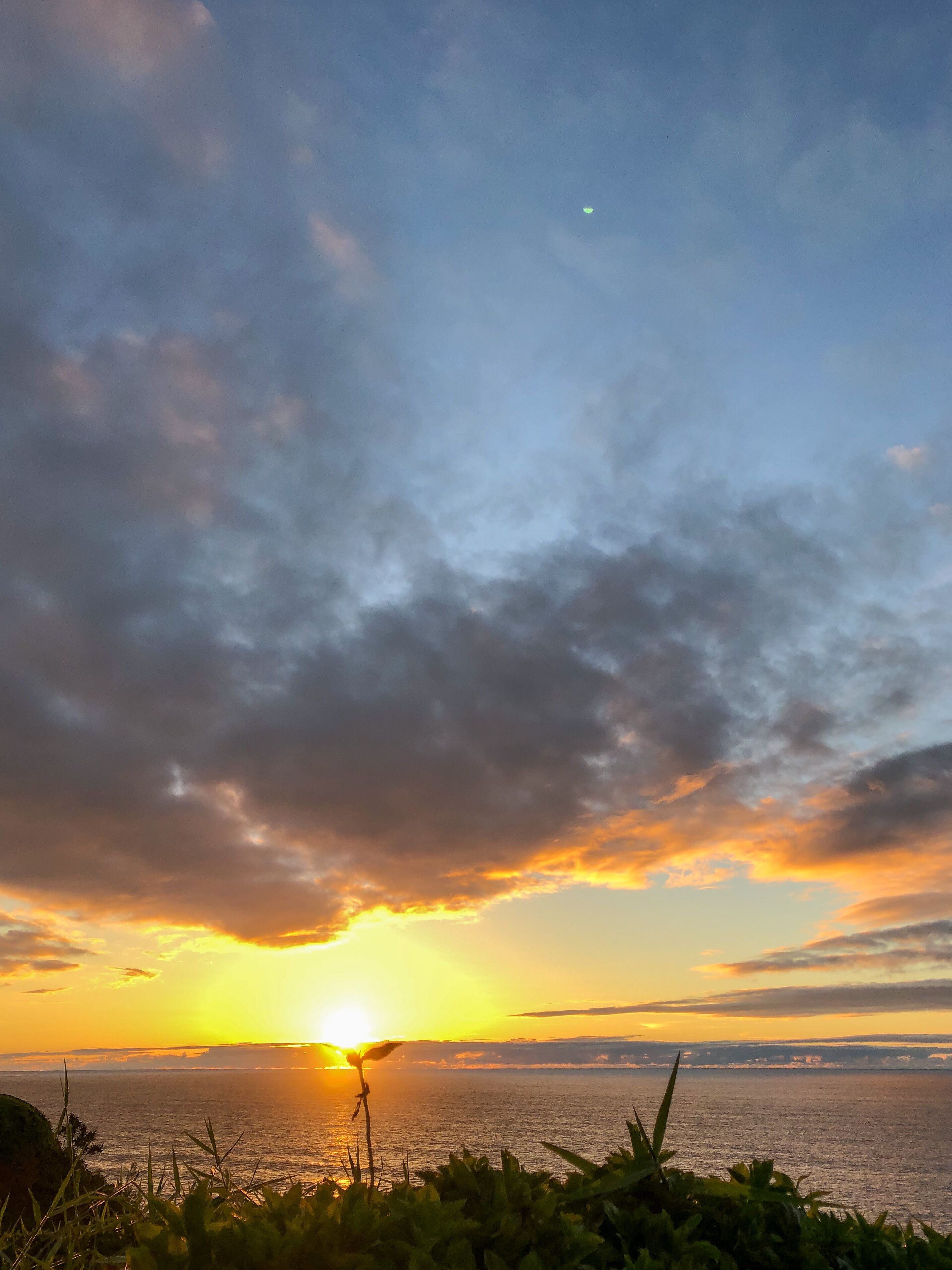 Newly Remodeled Luxury Condo with Ocean and Fairway Views