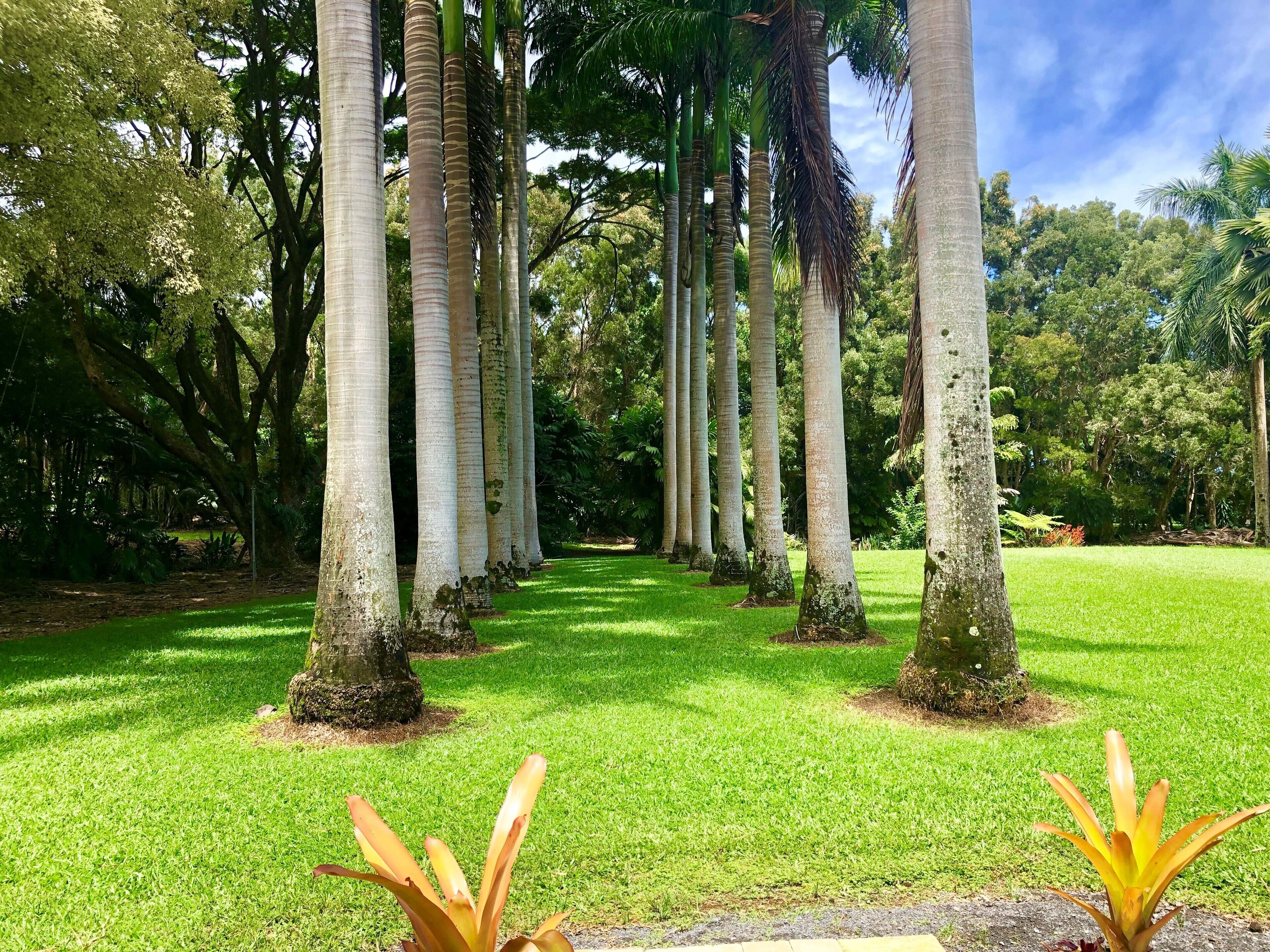 Royal Palm Cottage/5 mins from beach/Akaka Falls/Private Lanai