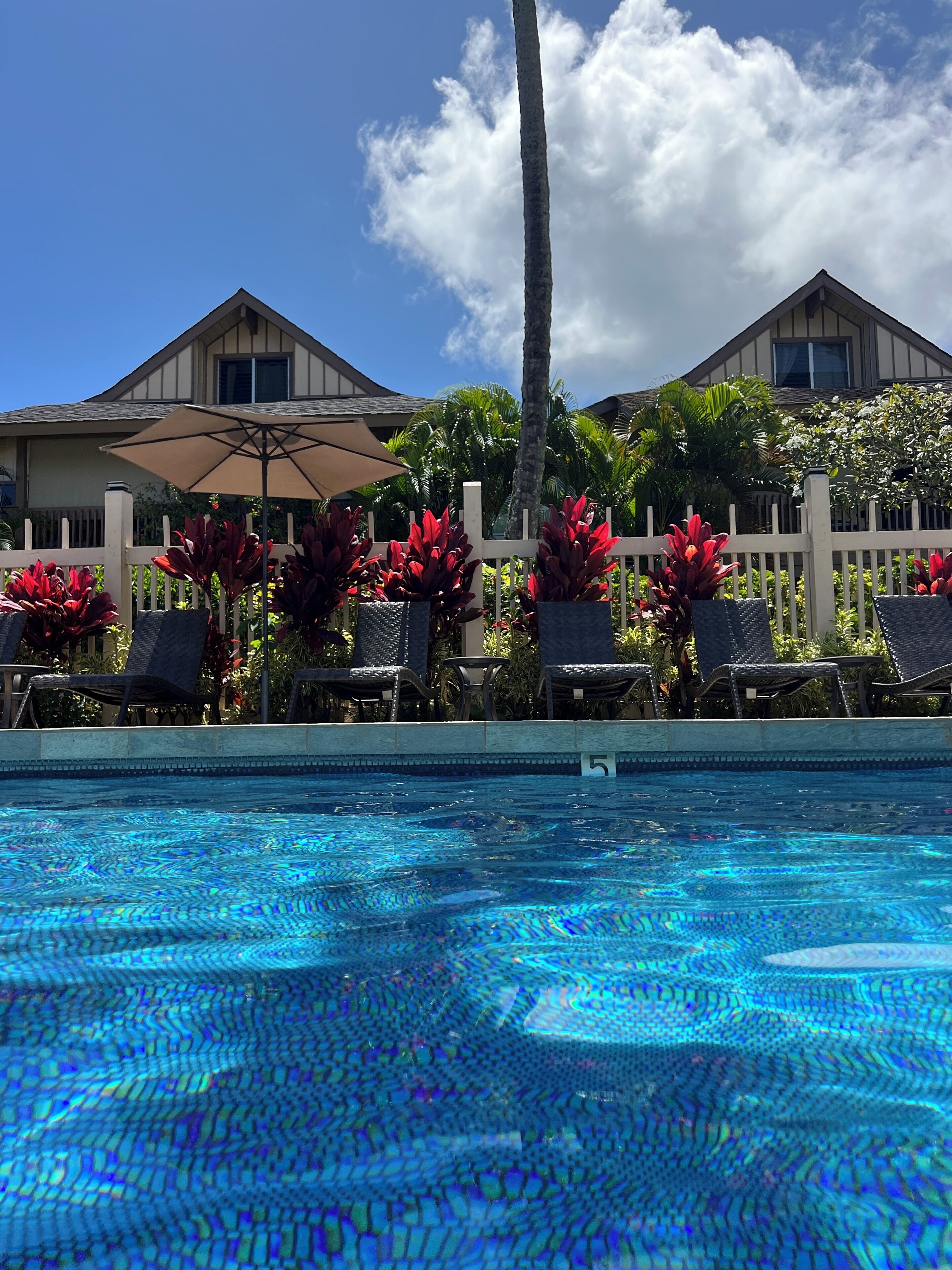 Princeville Delight! COLD A/C, Sleeps 4, Pool & Jacuzzi, Private Lanai & Space