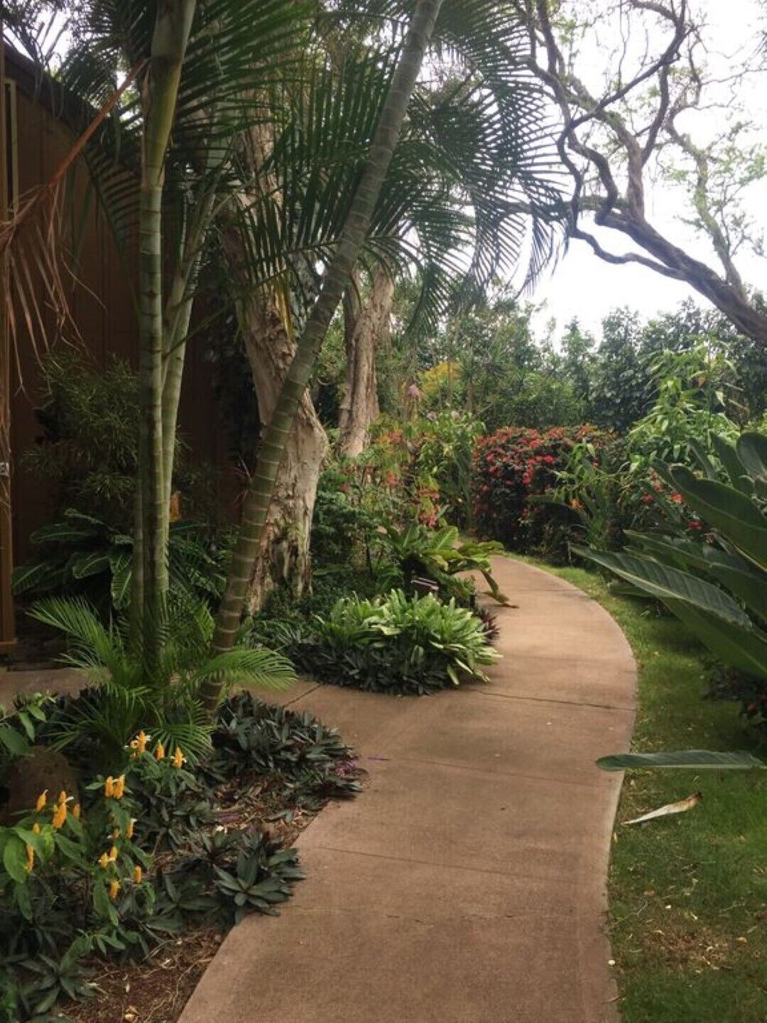 MOLOKAI  Paniolo Hale D3 Oceanview 1B/2BT Townhouse