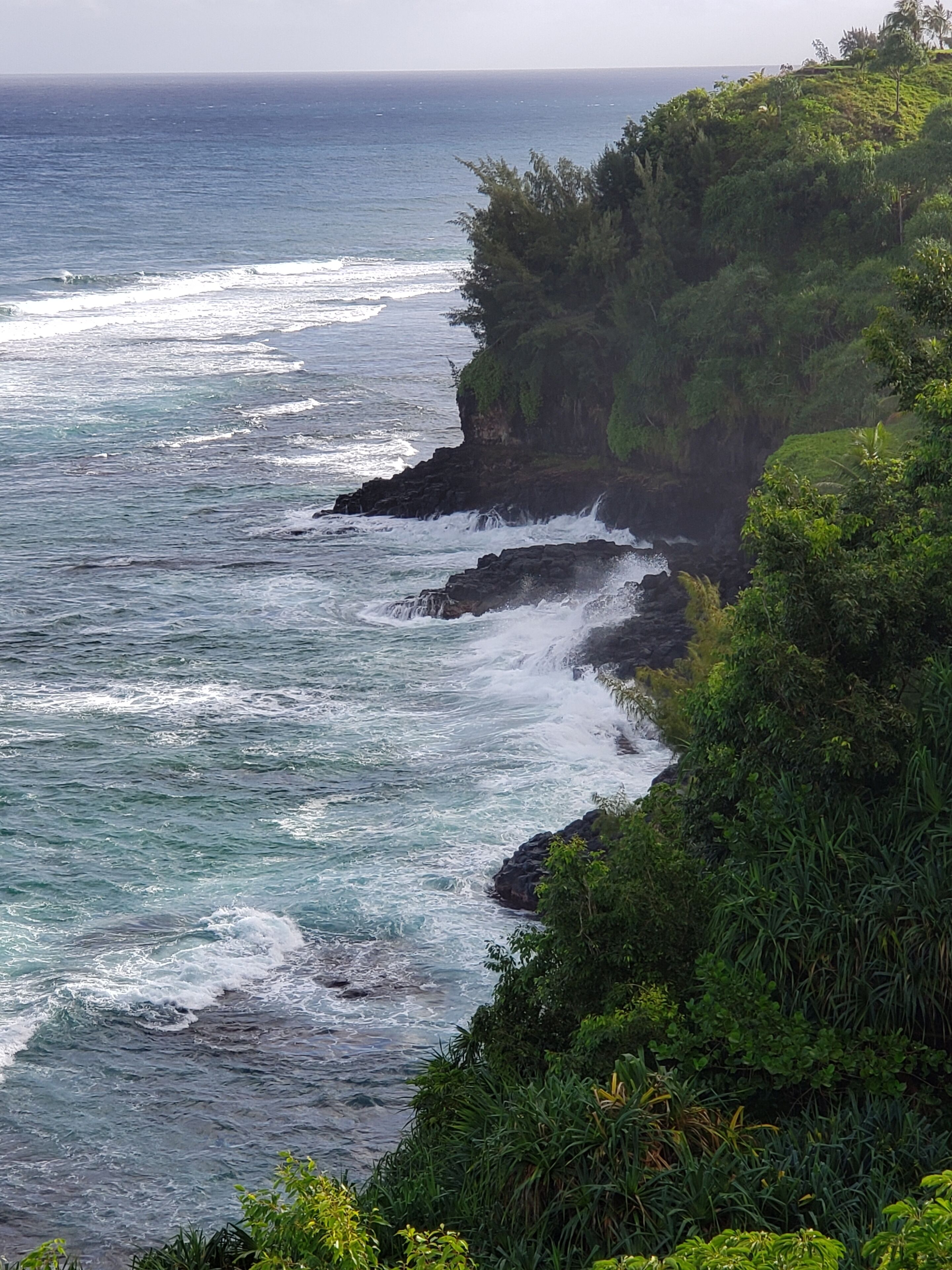Mesmerizing ocean view -Hawaiiana Style walkout unit