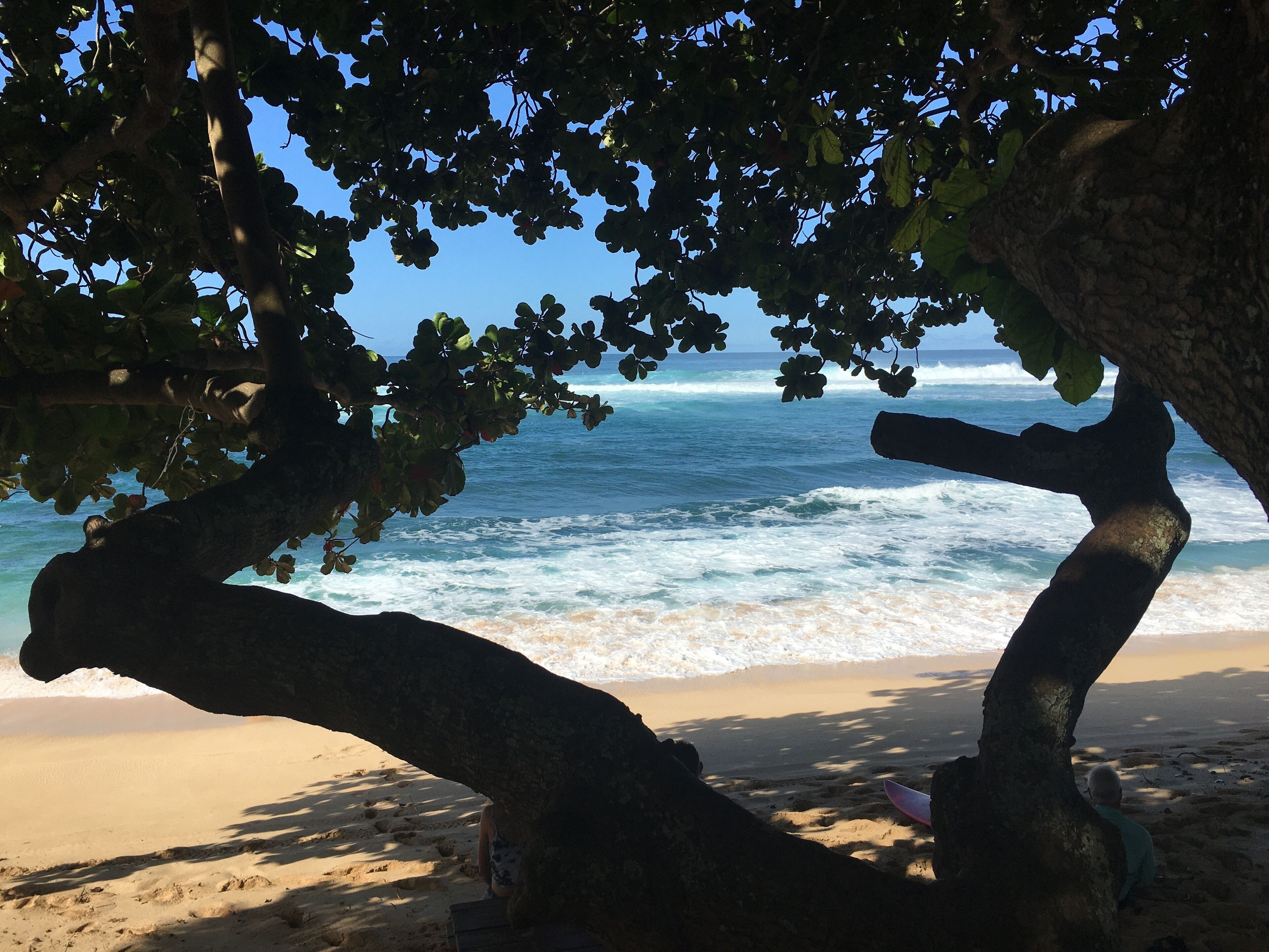 Jewel Of Sunset Point  <br>at world famous Sunset Beach