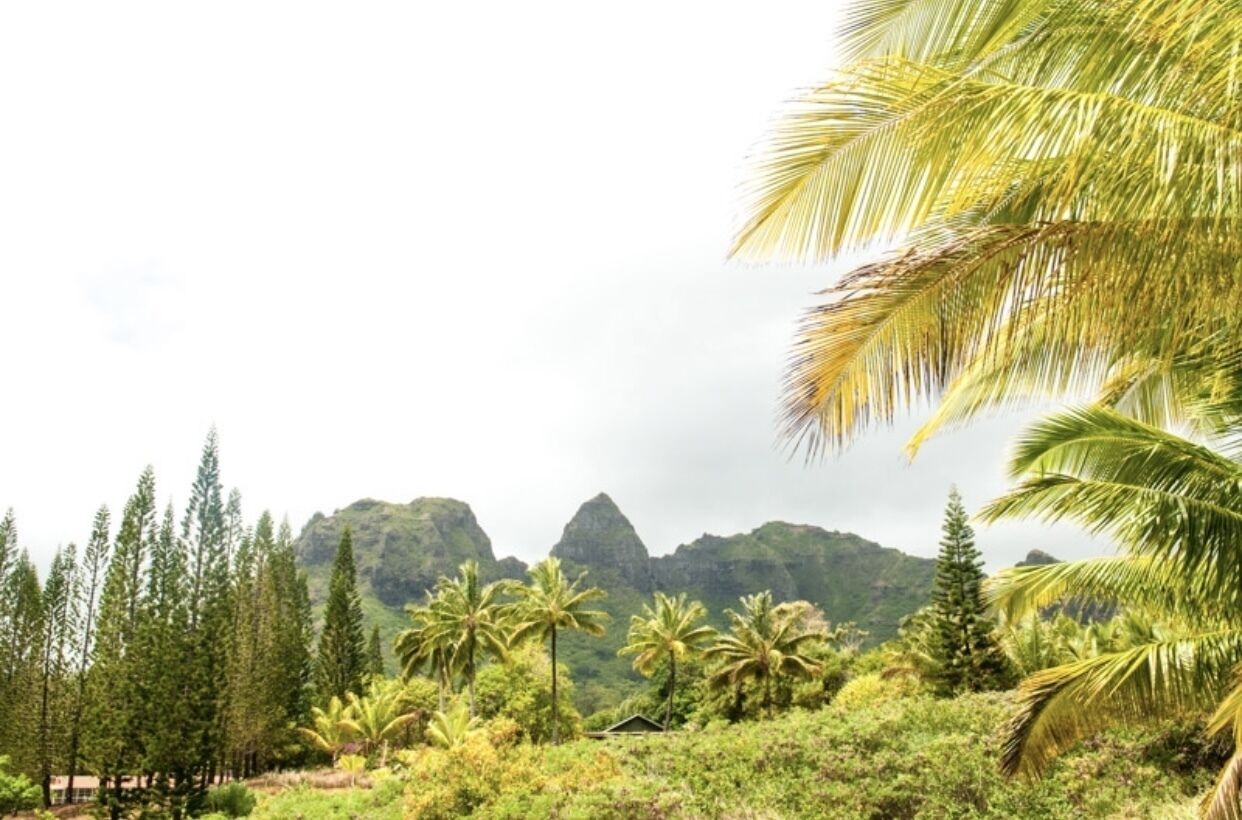 Lovely Country Cottage