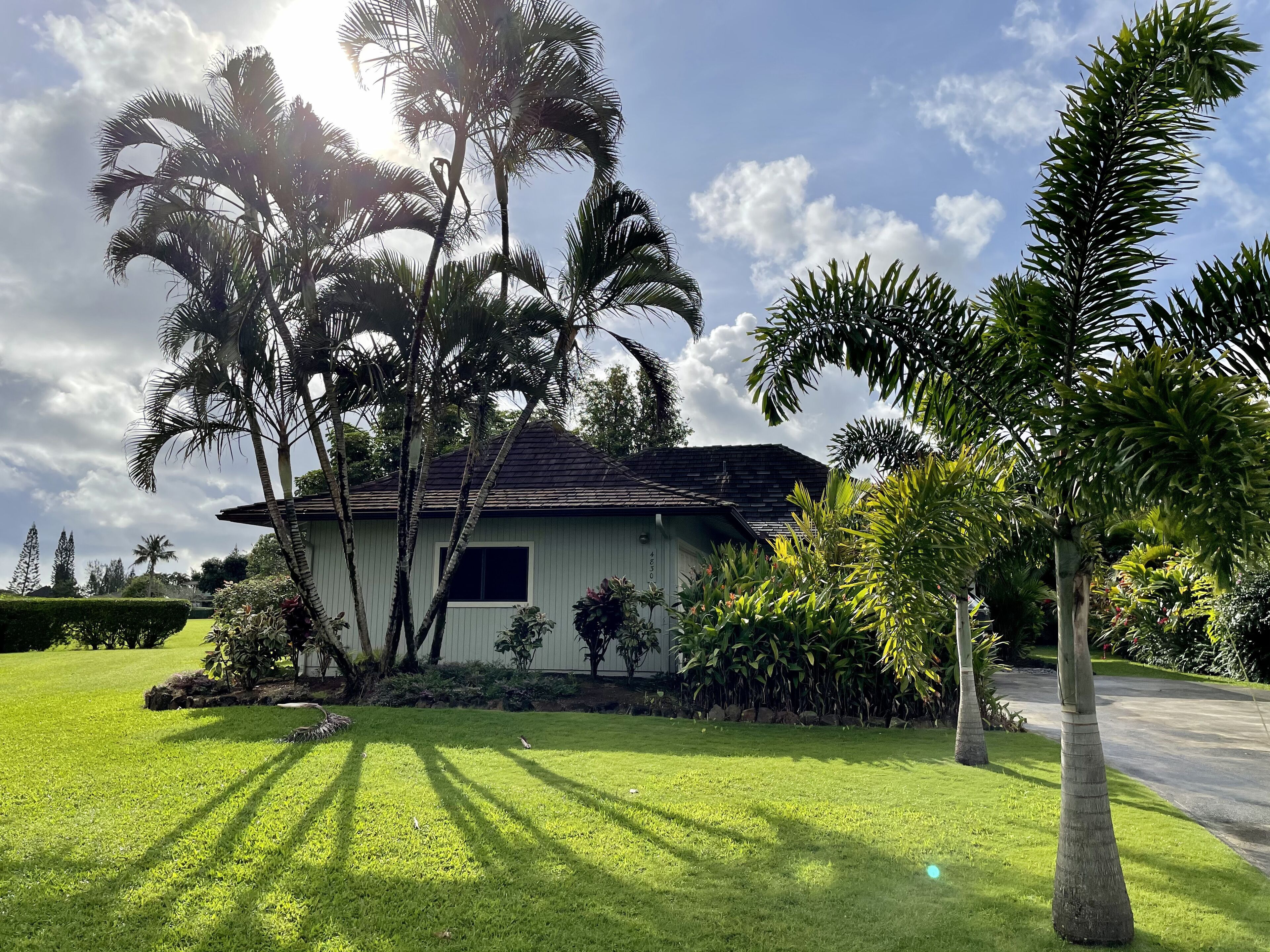 Comfortable House close to beaches with Peloton Bike+ and 4 New Trek bikes