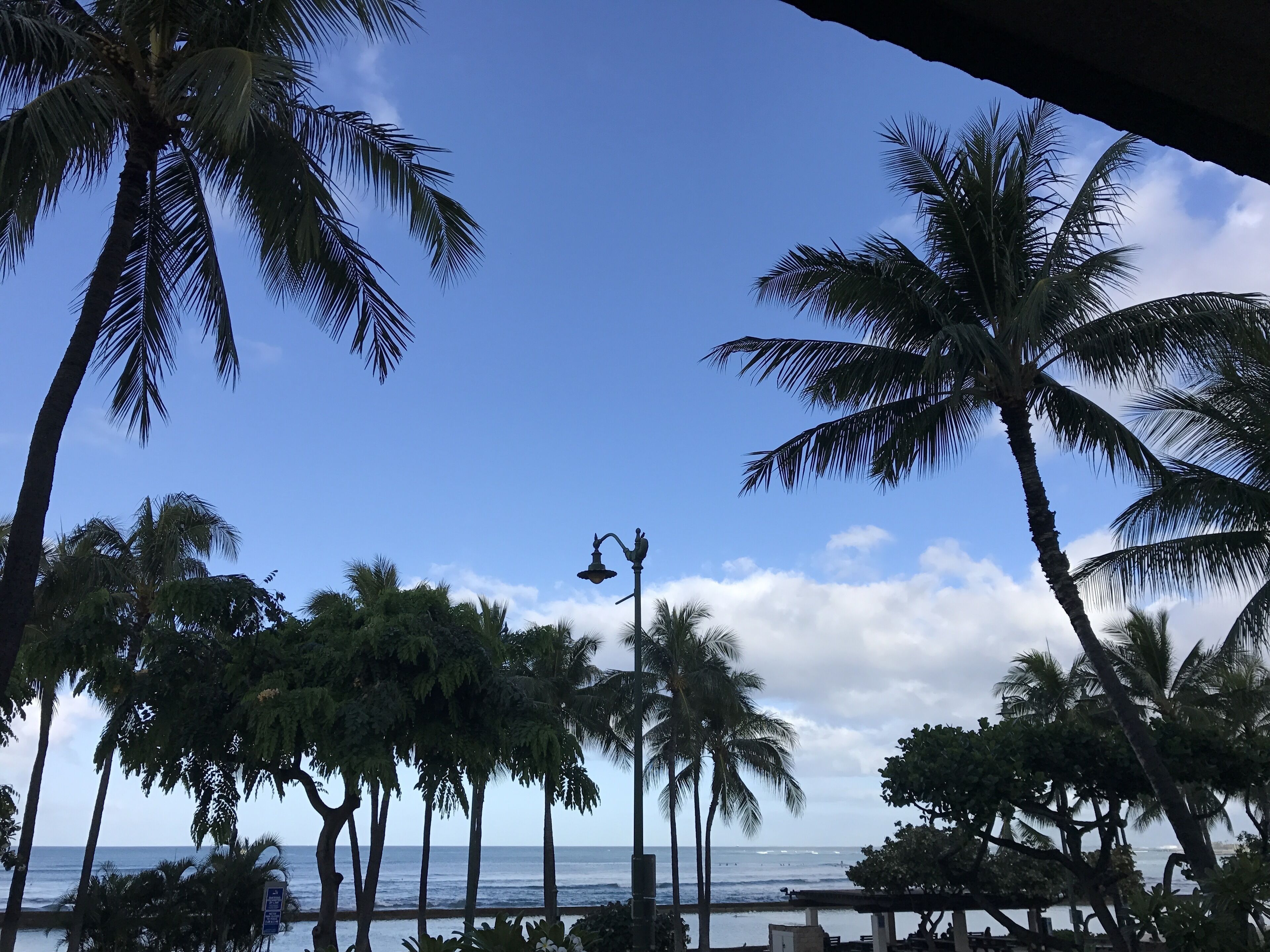 Beautiful Condo in the heart Diamond Head Honolulu, HI