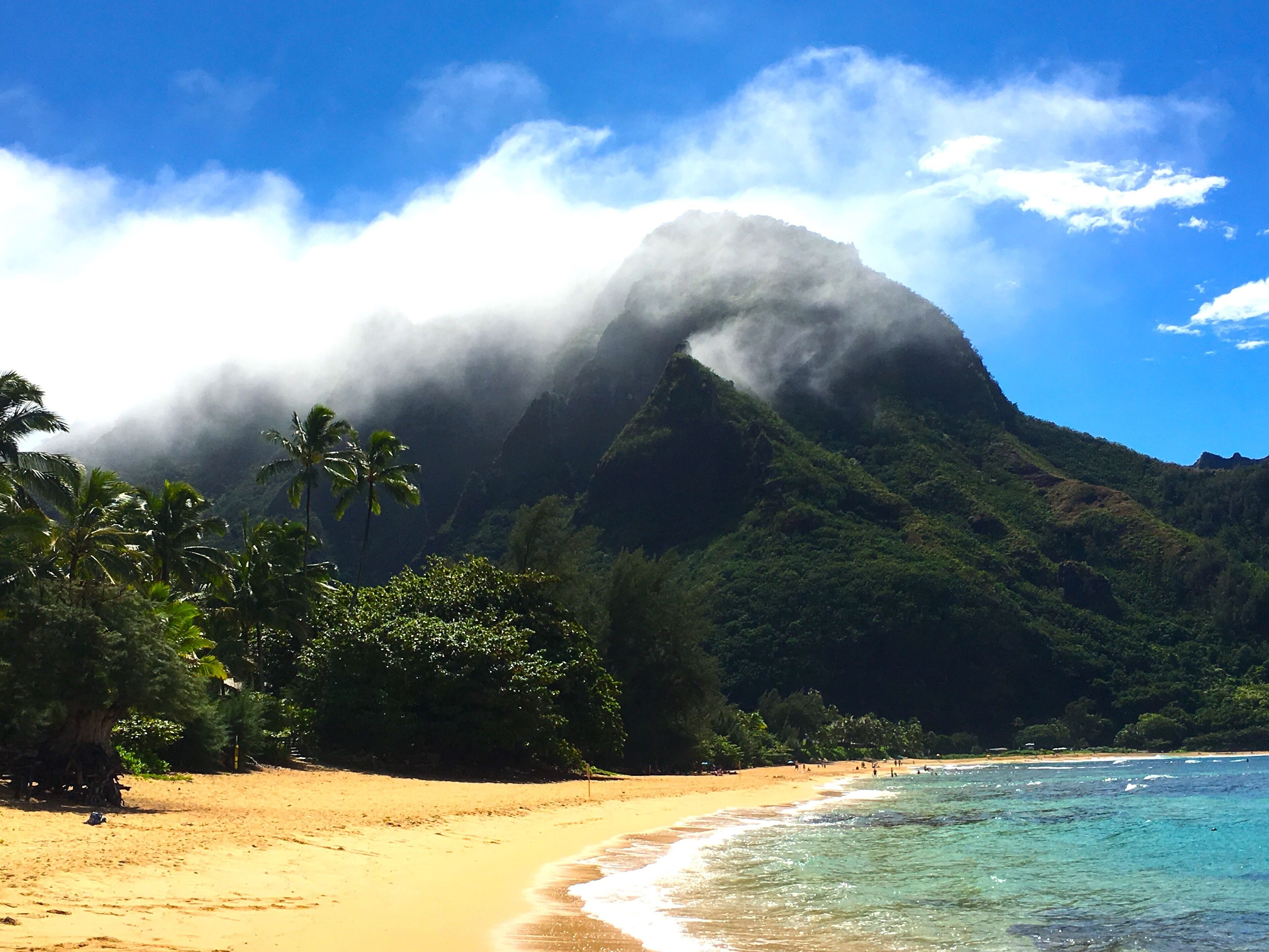 Fresh, Bright, New! Near Hanalei. Walk to the ocean in minutes.