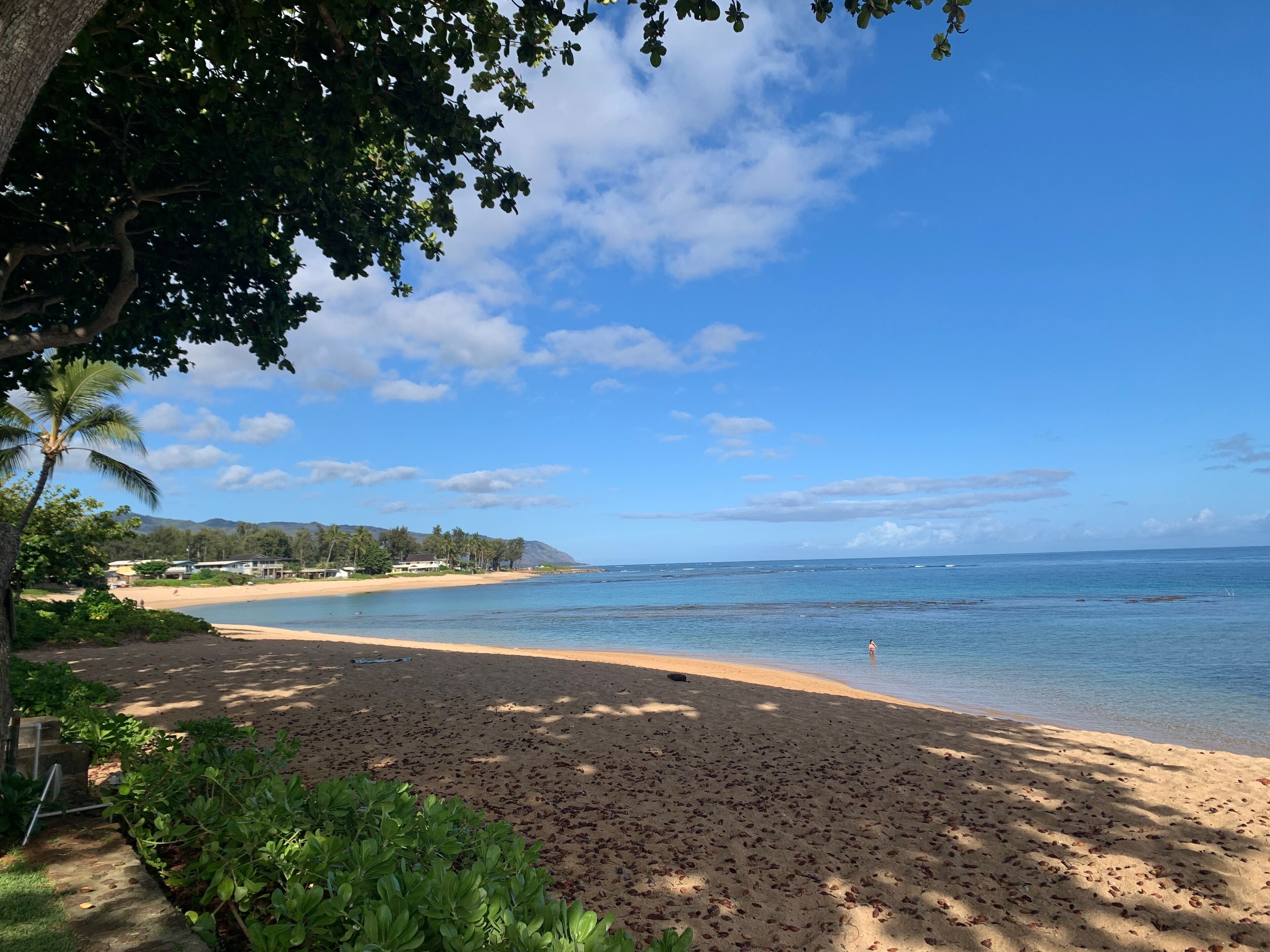 15 Steps to the Beach! Ground Floor Completely Renovated on the North Shore